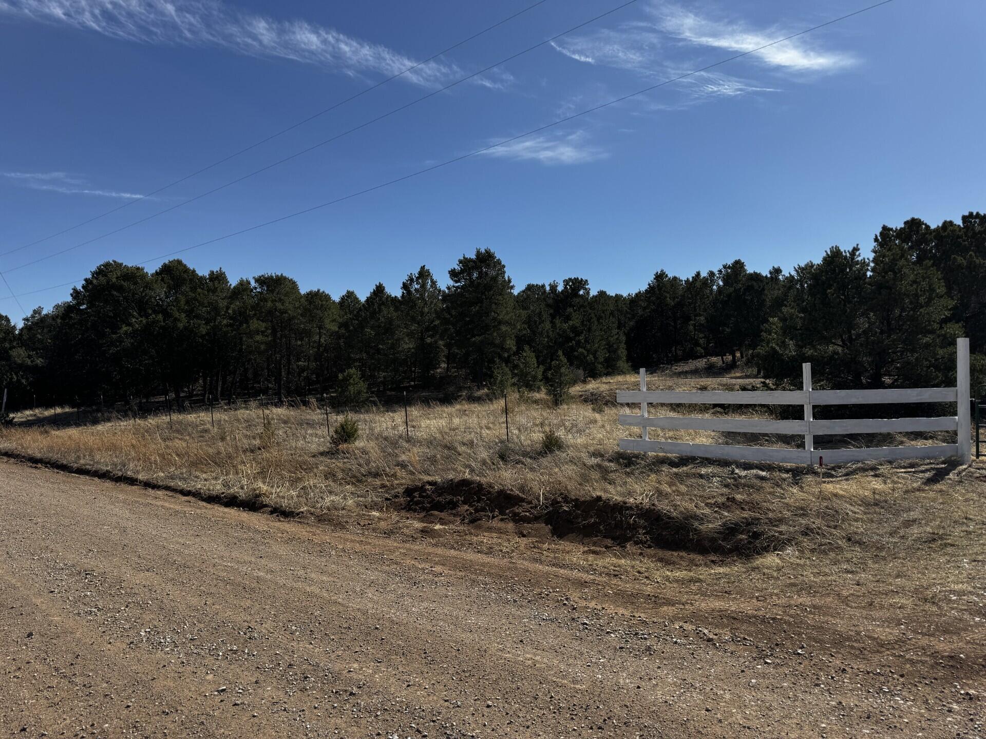 8 Belle Starr Road, Edgewood, New Mexico image 3