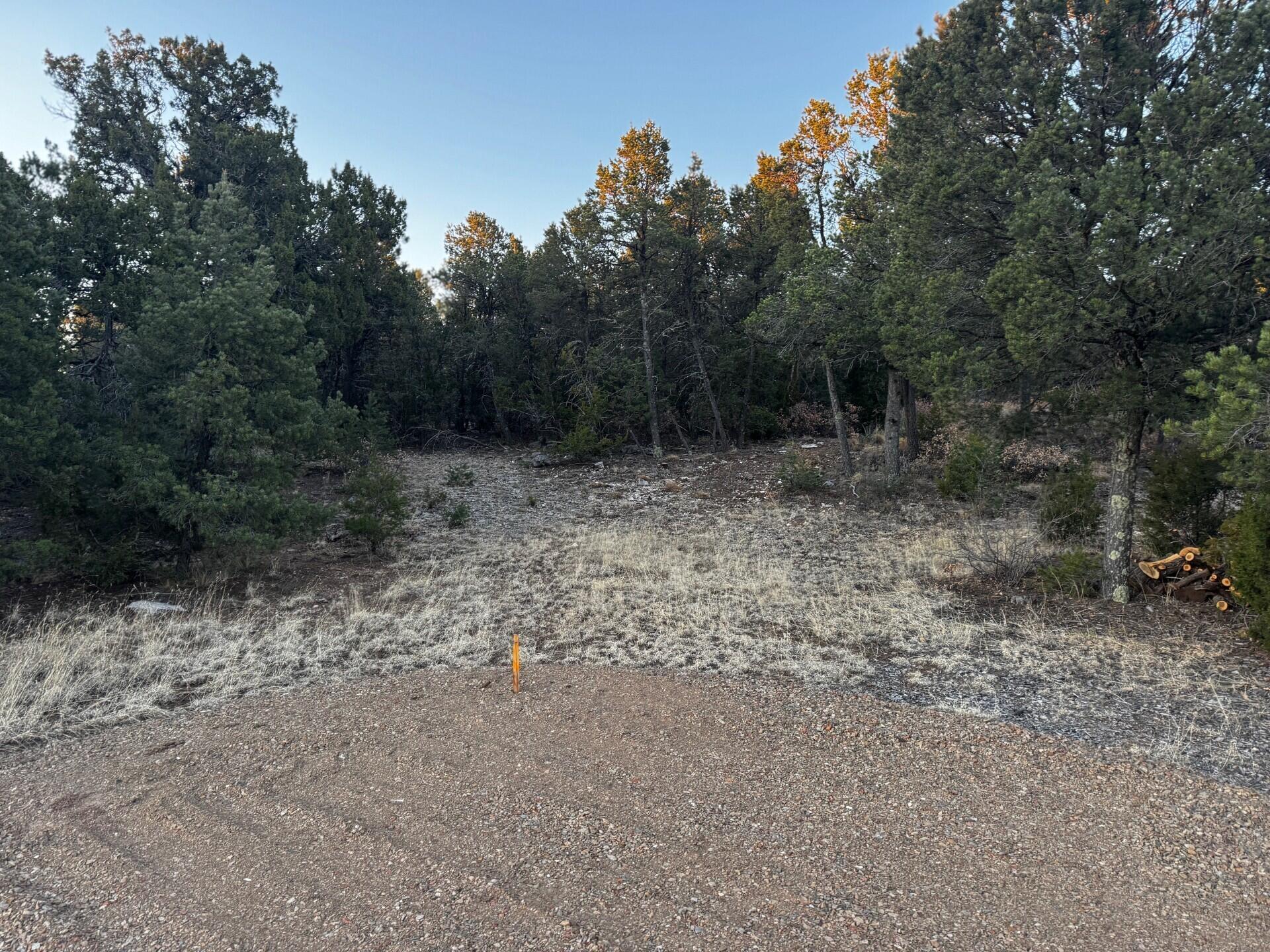 8 Belle Starr Road, Edgewood, New Mexico image 7