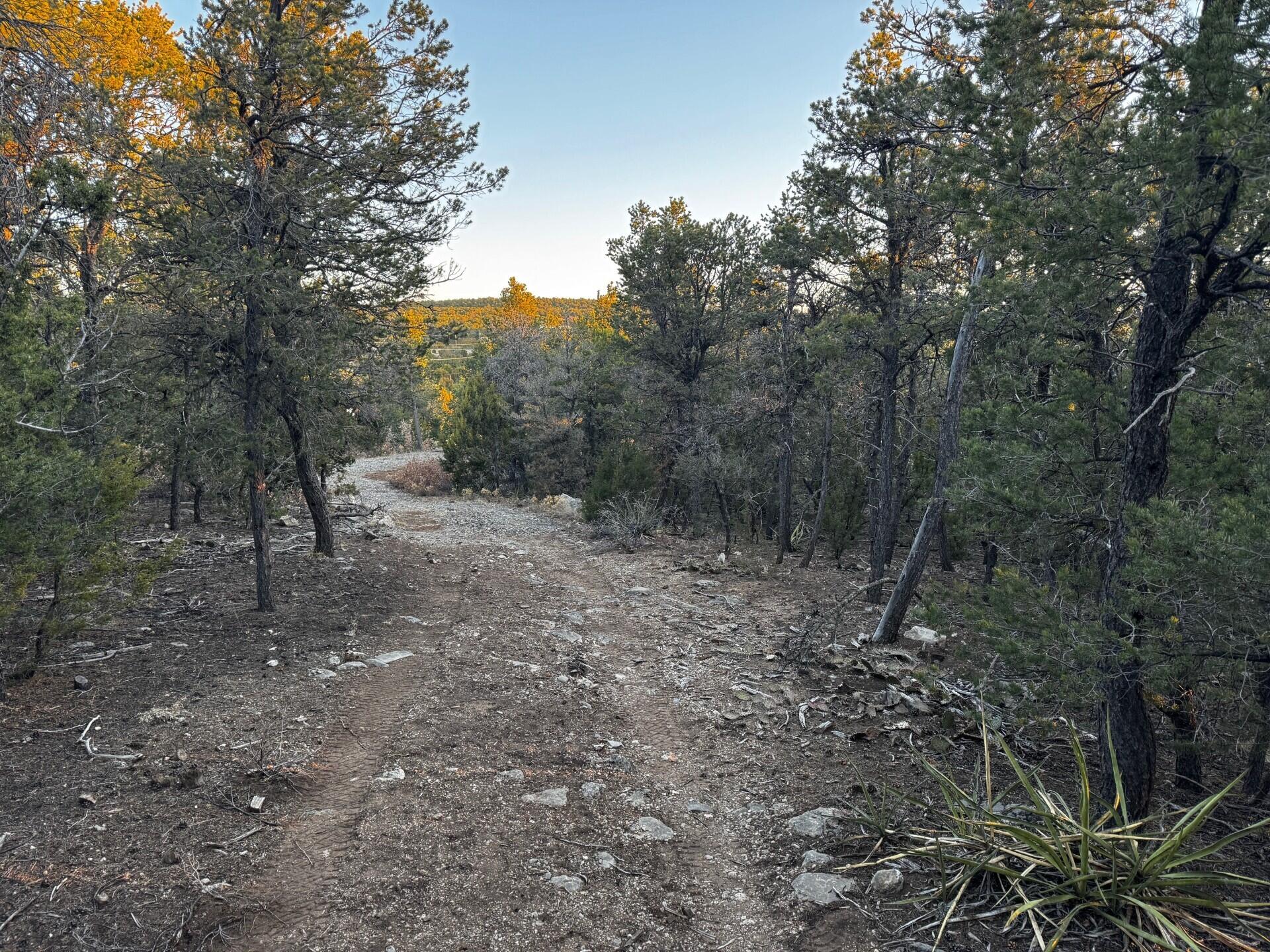 8 Belle Starr Road, Edgewood, New Mexico image 14