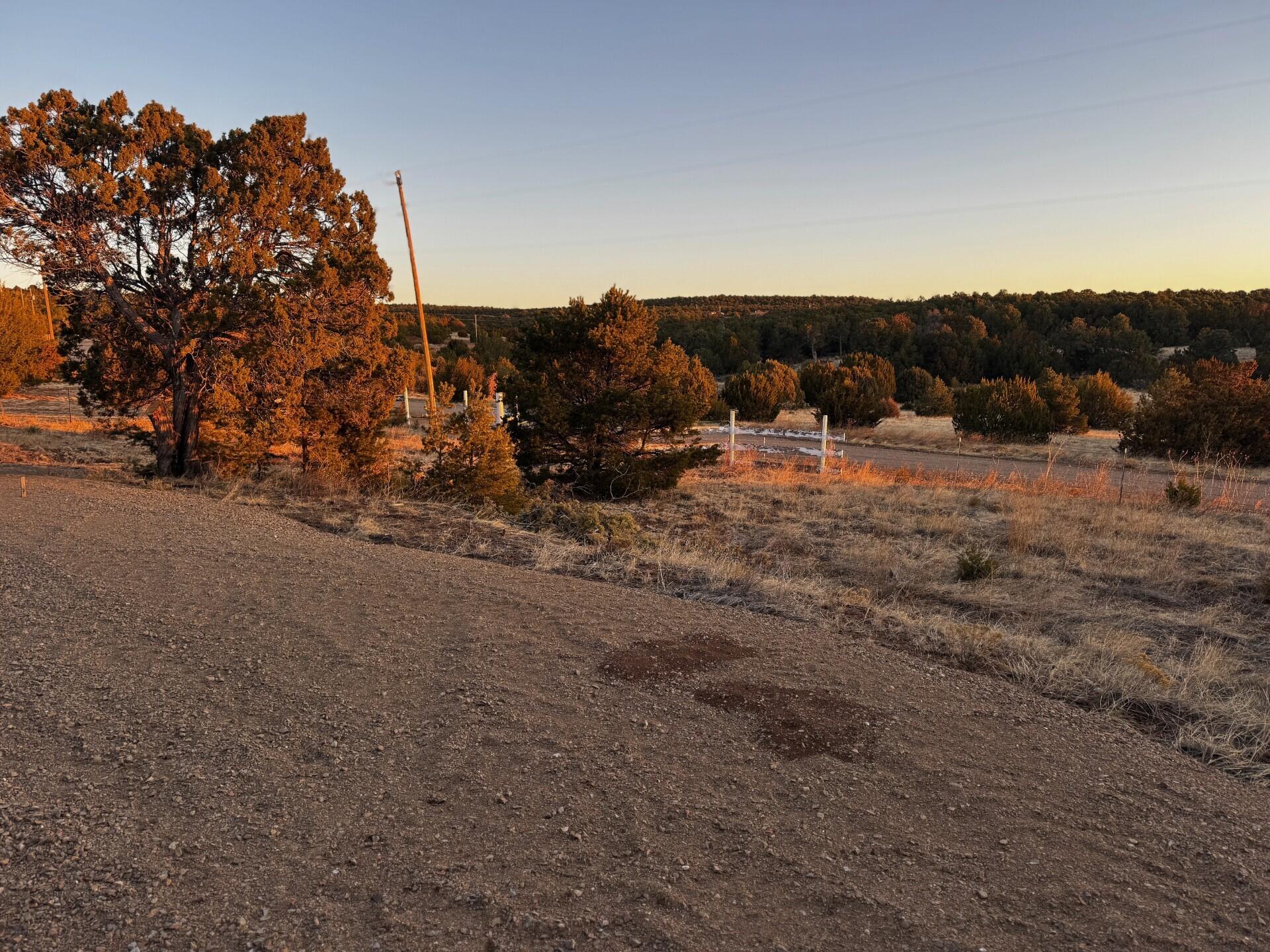 8 Belle Starr Road, Edgewood, New Mexico image 8