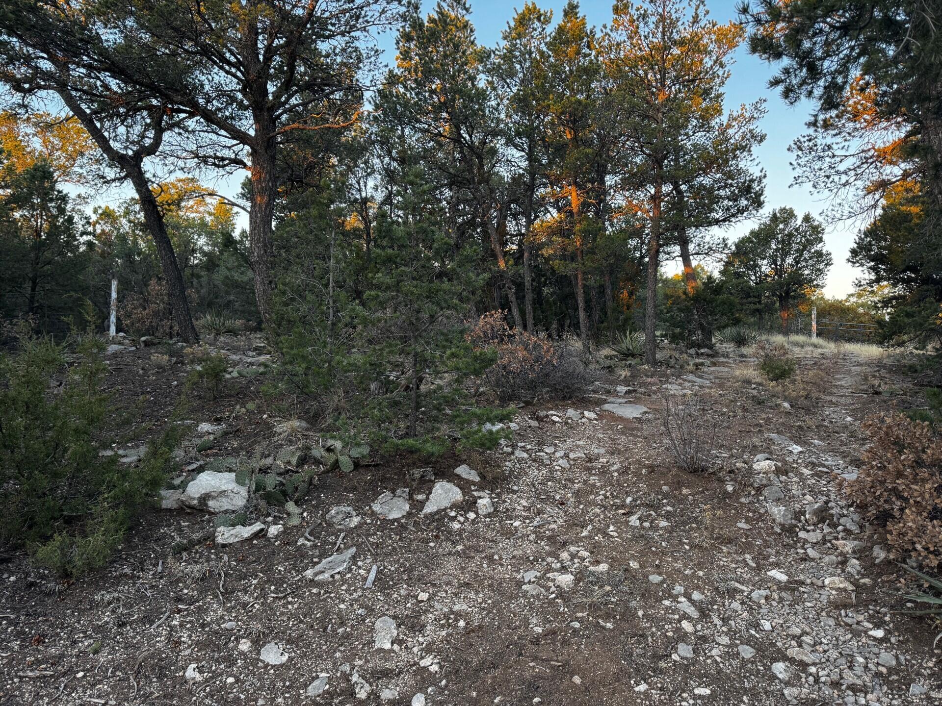 8 Belle Starr Road, Edgewood, New Mexico image 11