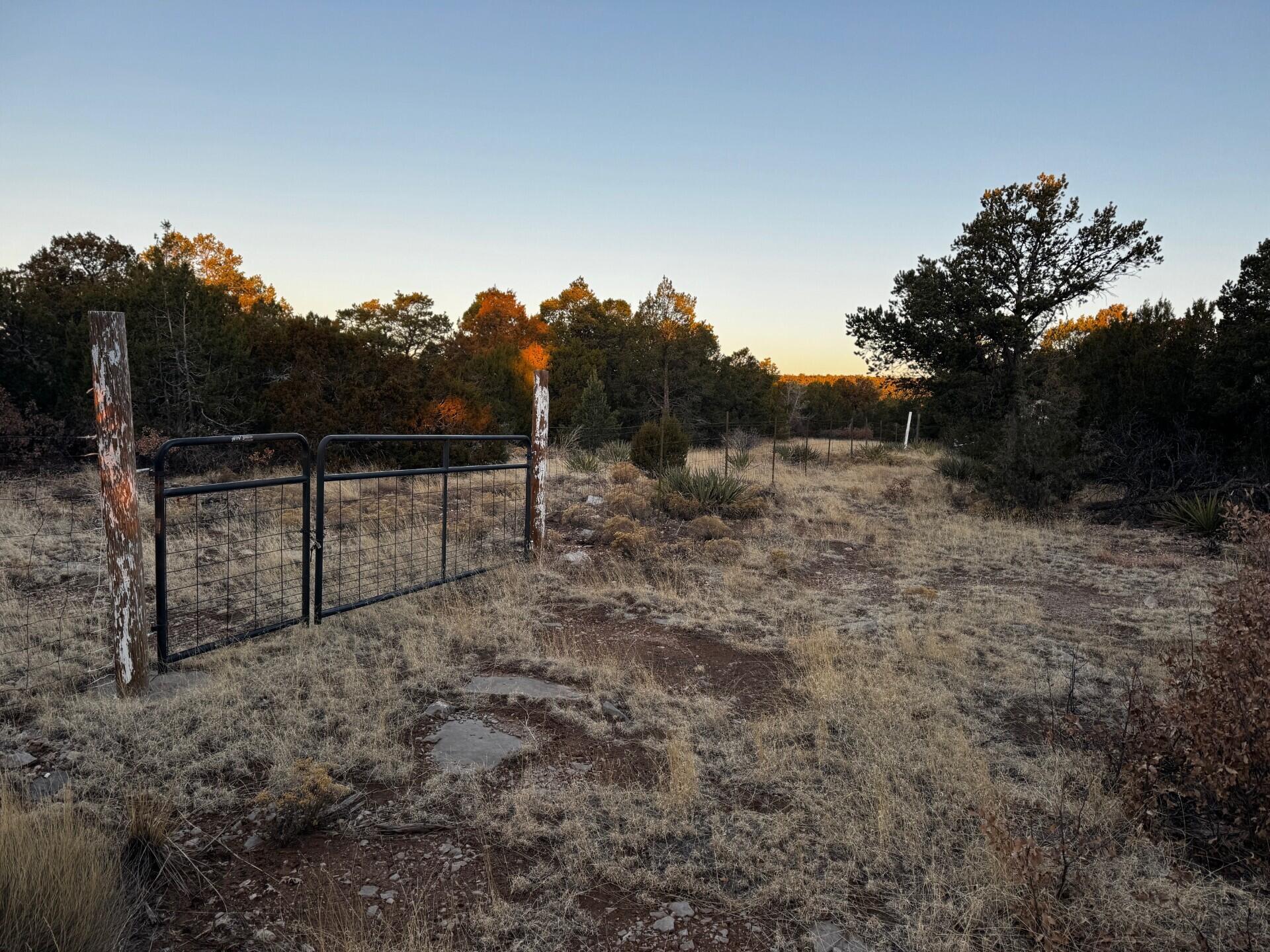 8 Belle Starr Road, Edgewood, New Mexico image 18