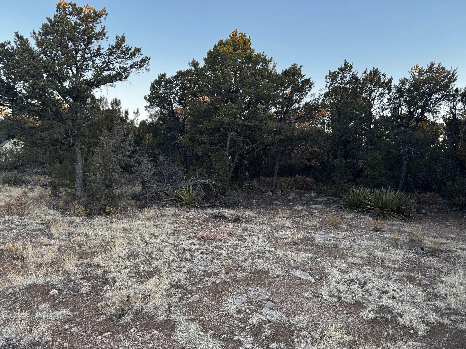 8 Belle Starr Road, Edgewood, New Mexico image 12