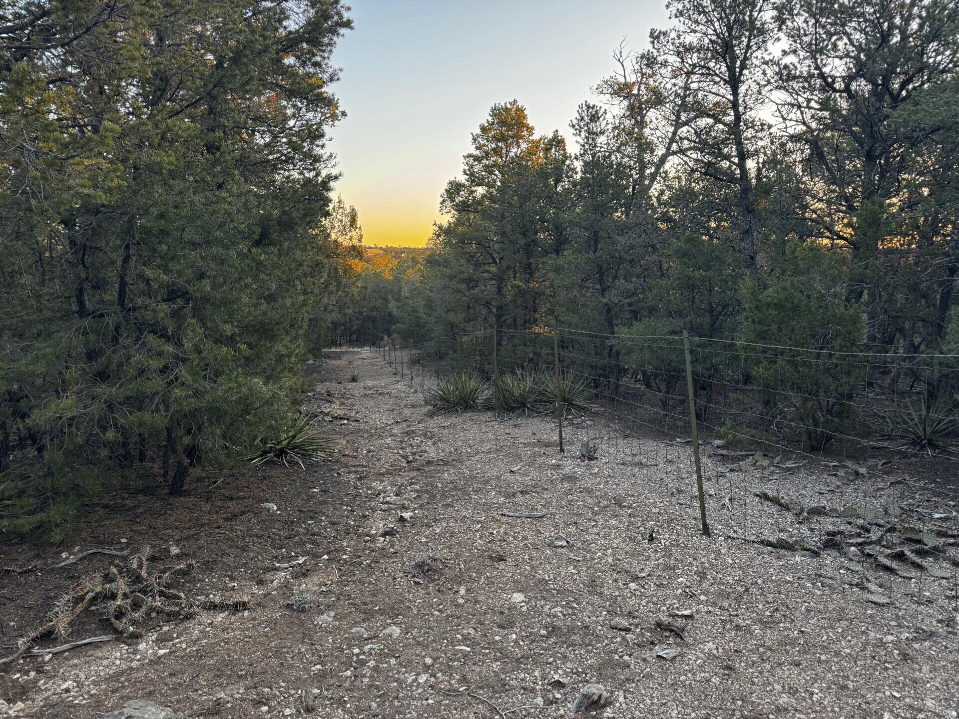 8 Belle Starr Road, Edgewood, New Mexico image 15