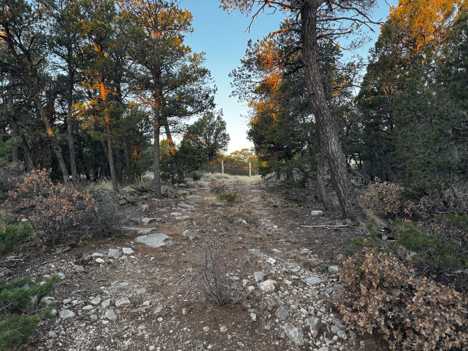 8 Belle Starr Road, Edgewood, New Mexico image 16