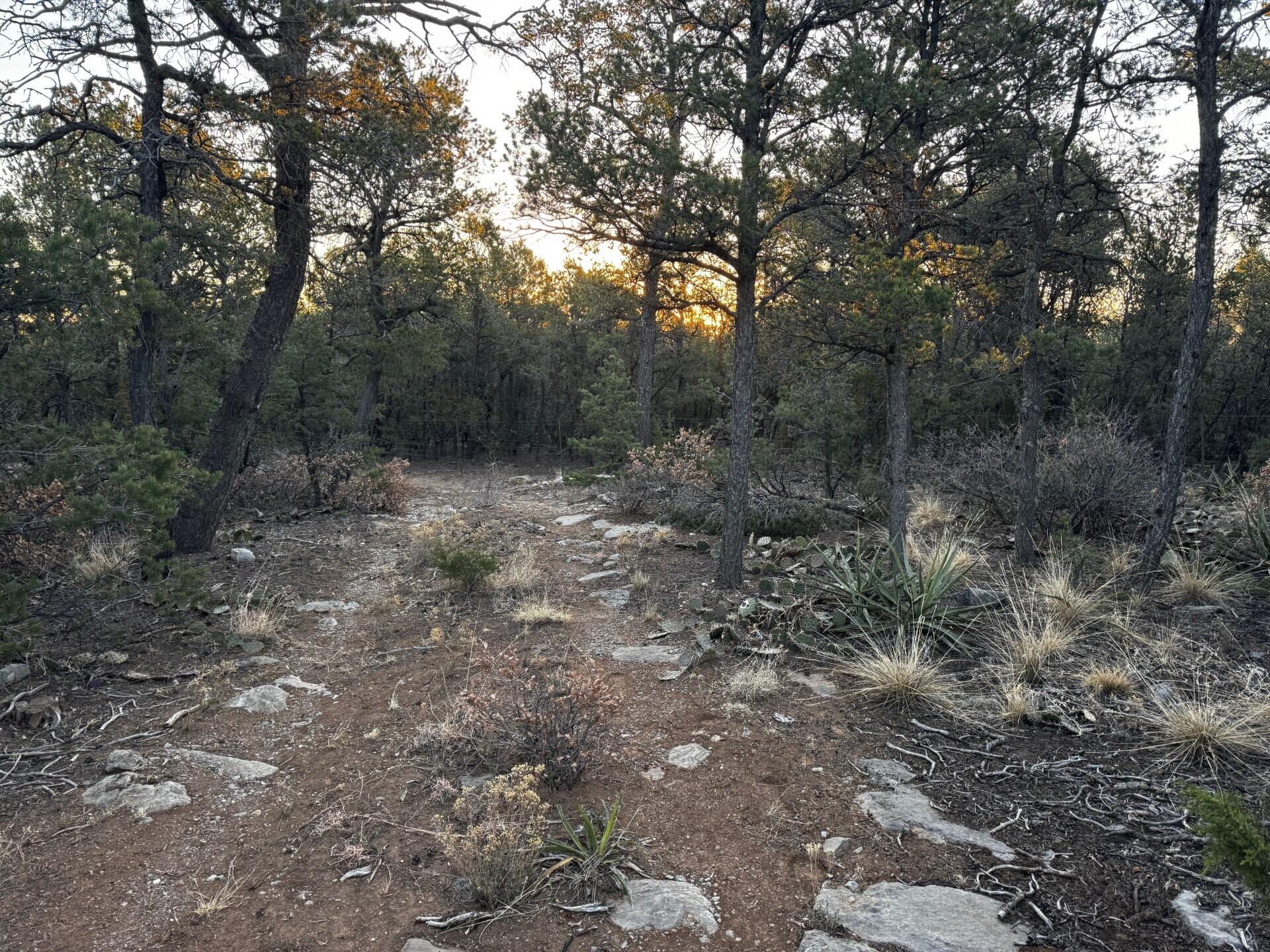 8 Belle Starr Road, Edgewood, New Mexico image 13