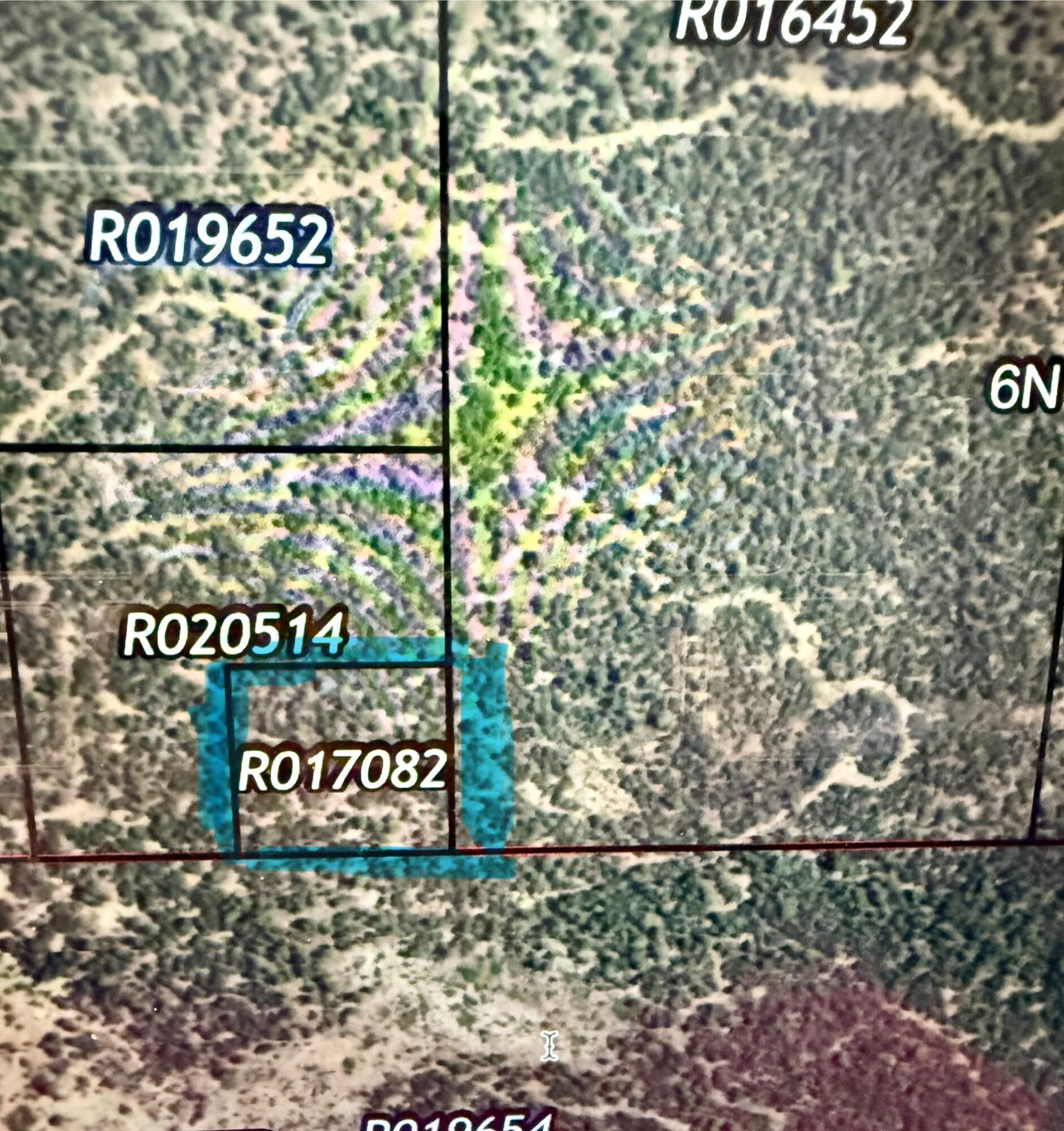 S: 20 T: 6n R: 6e Se4se4sw4sw4, Torreon, New Mexico image 1