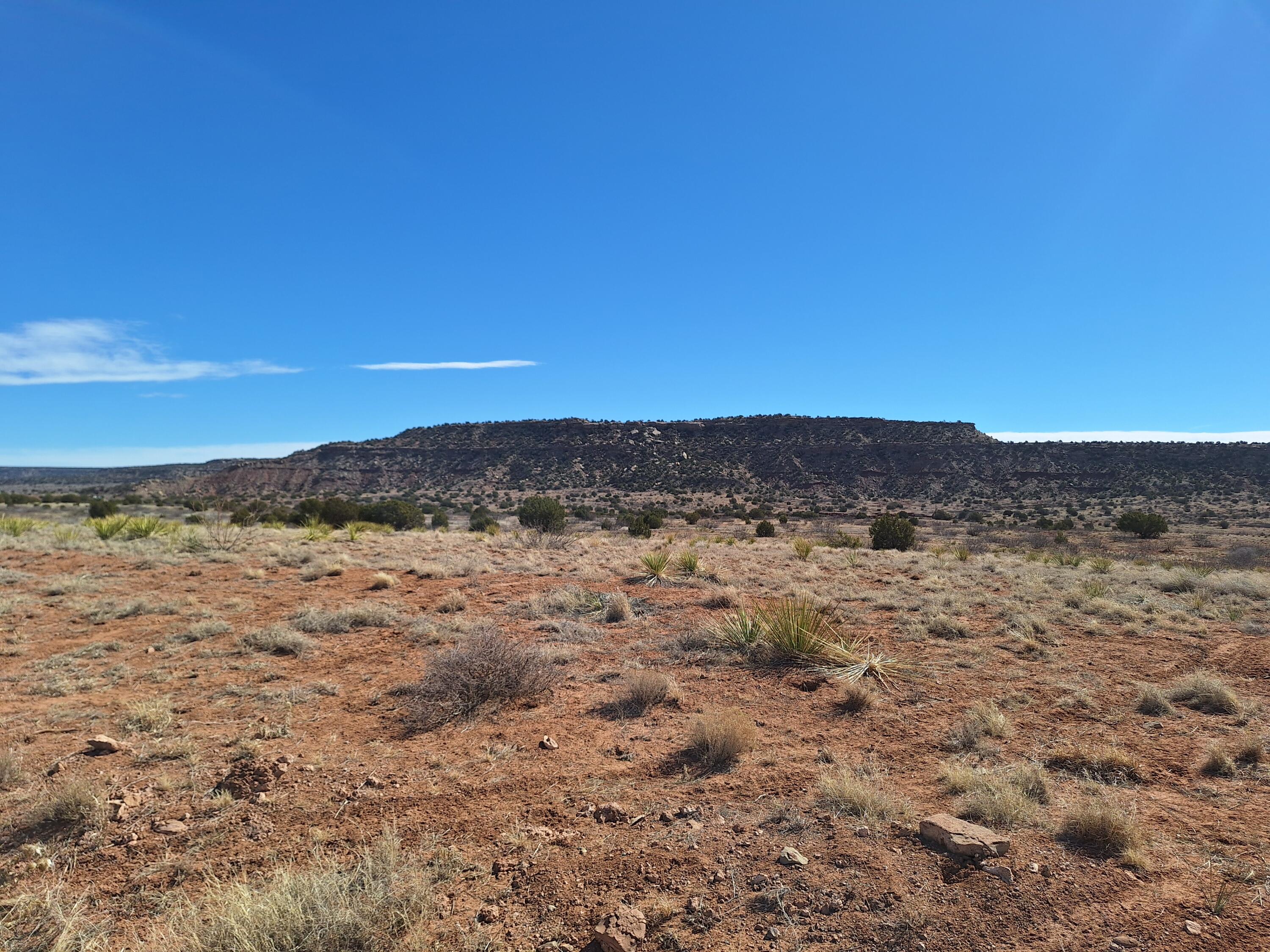 05 Magnolia, Garita, New Mexico image 3