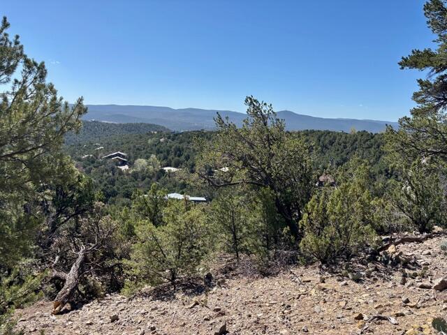 Los Amigos Court, Cedar Crest, New Mexico image 1