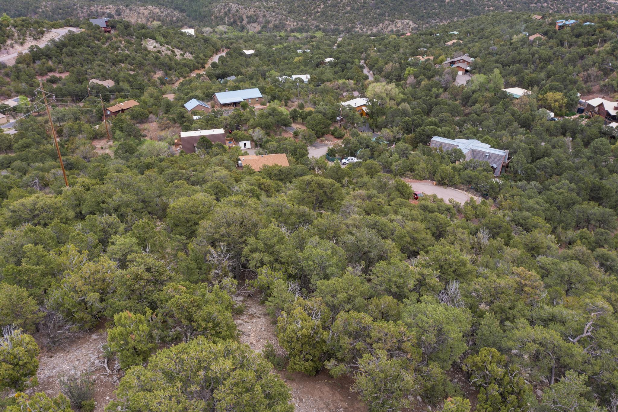 Los Amigos Court, Cedar Crest, New Mexico image 3