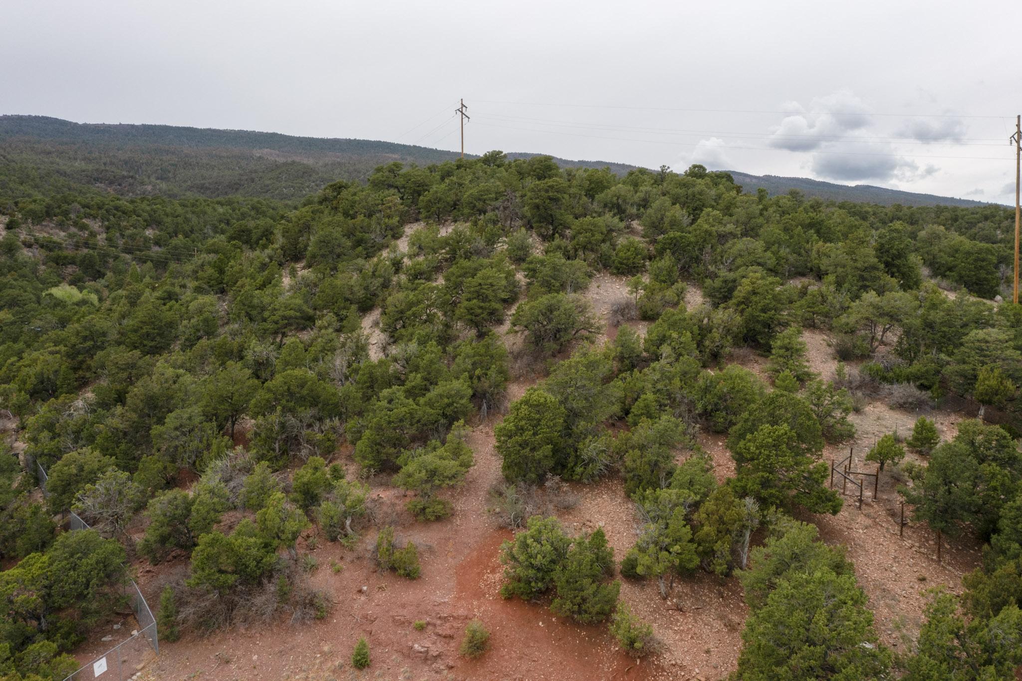 Los Amigos Court, Cedar Crest, New Mexico image 8