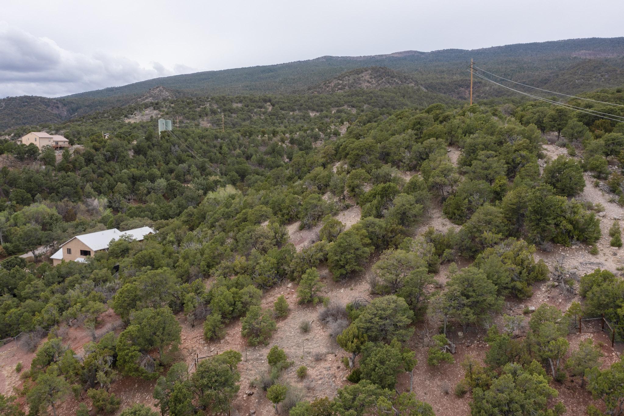 Los Amigos Court, Cedar Crest, New Mexico image 4