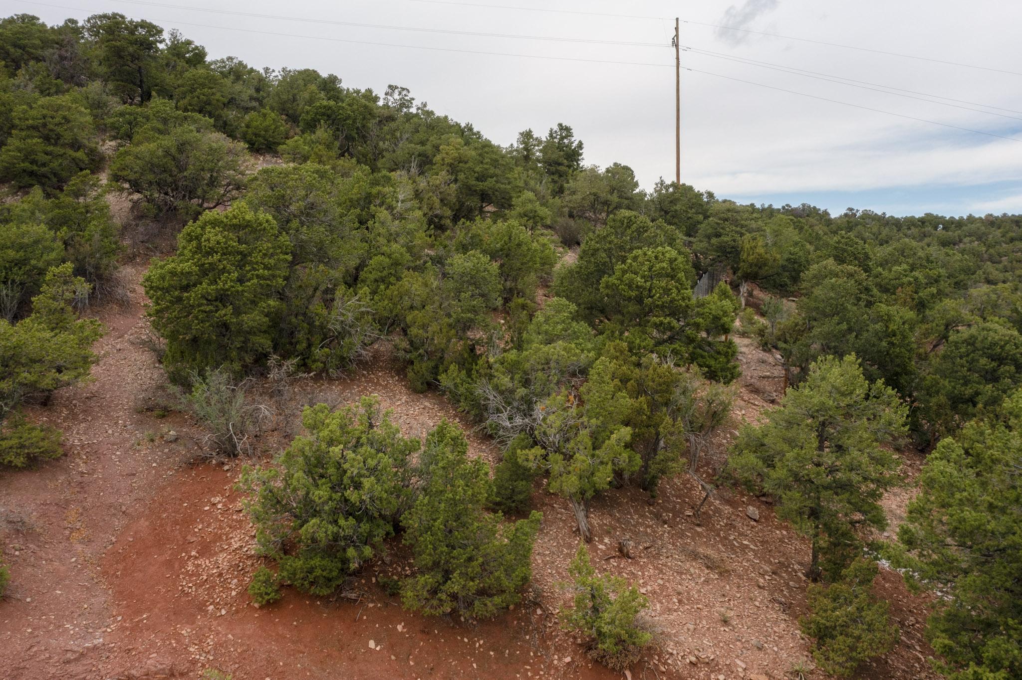 Los Amigos Court, Cedar Crest, New Mexico image 10