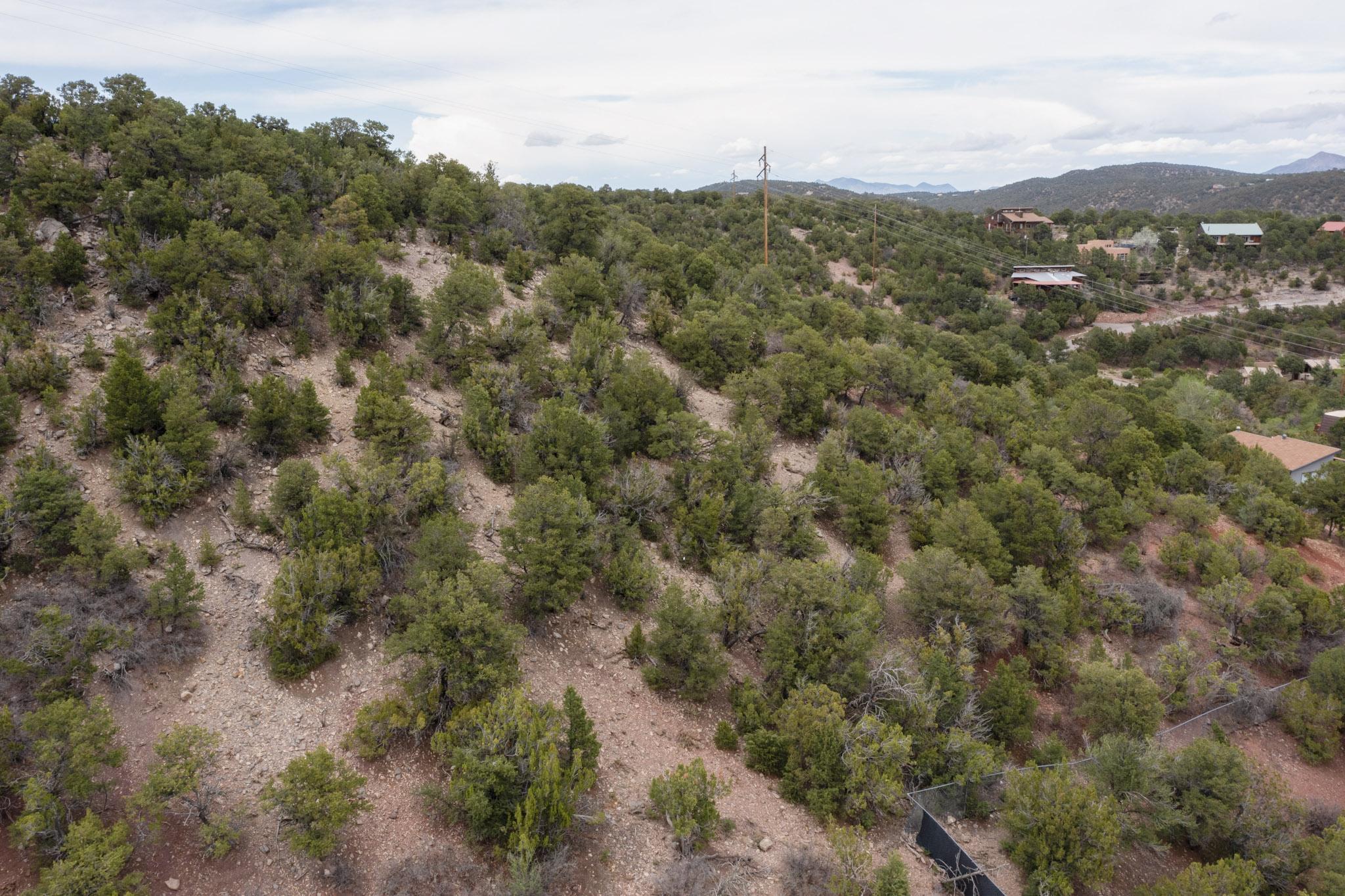 Los Amigos Court, Cedar Crest, New Mexico image 6