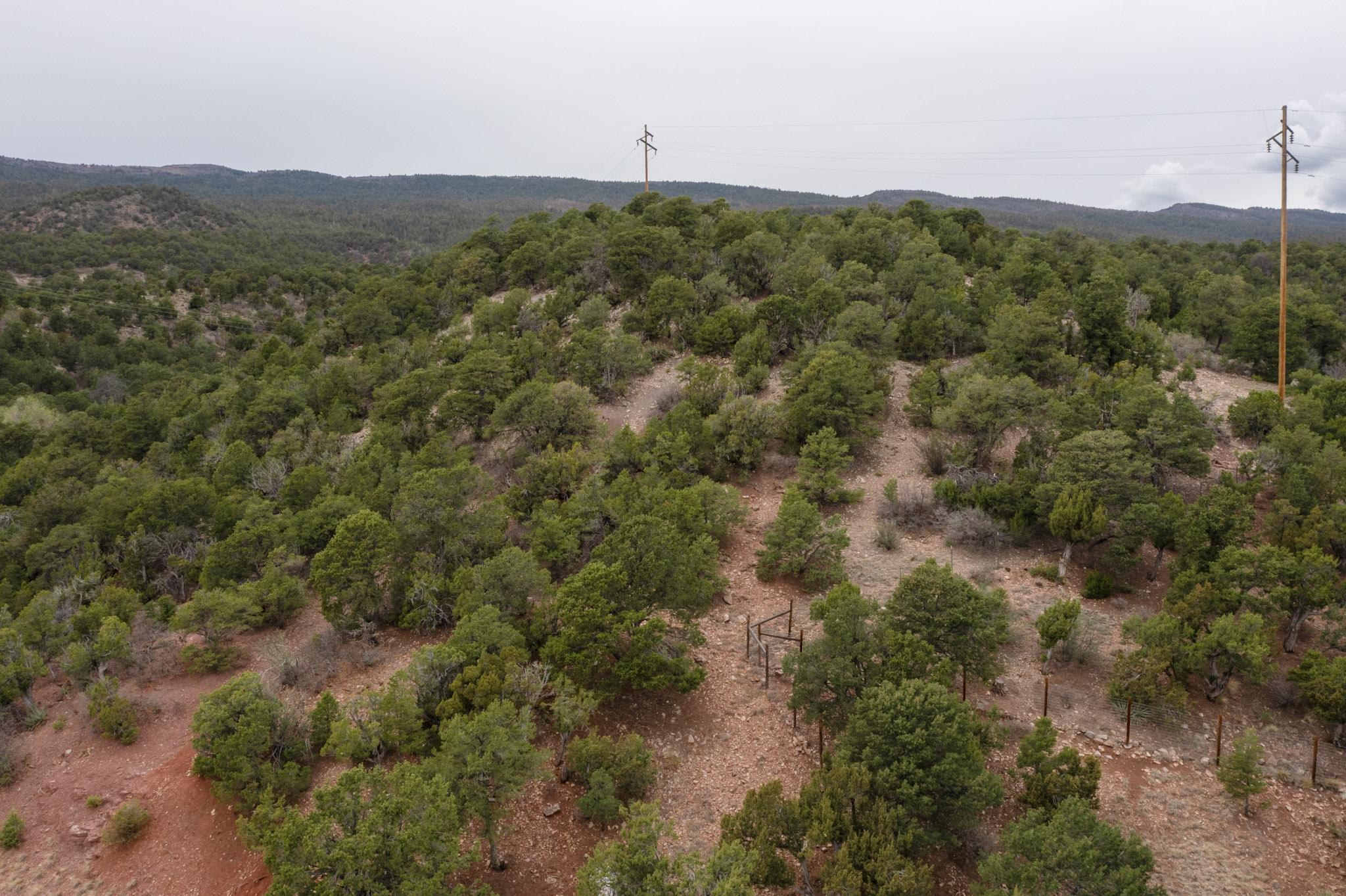Los Amigos Court, Cedar Crest, New Mexico image 7
