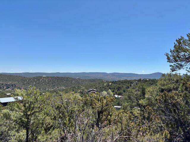 Los Amigos Court, Cedar Crest, New Mexico image 2