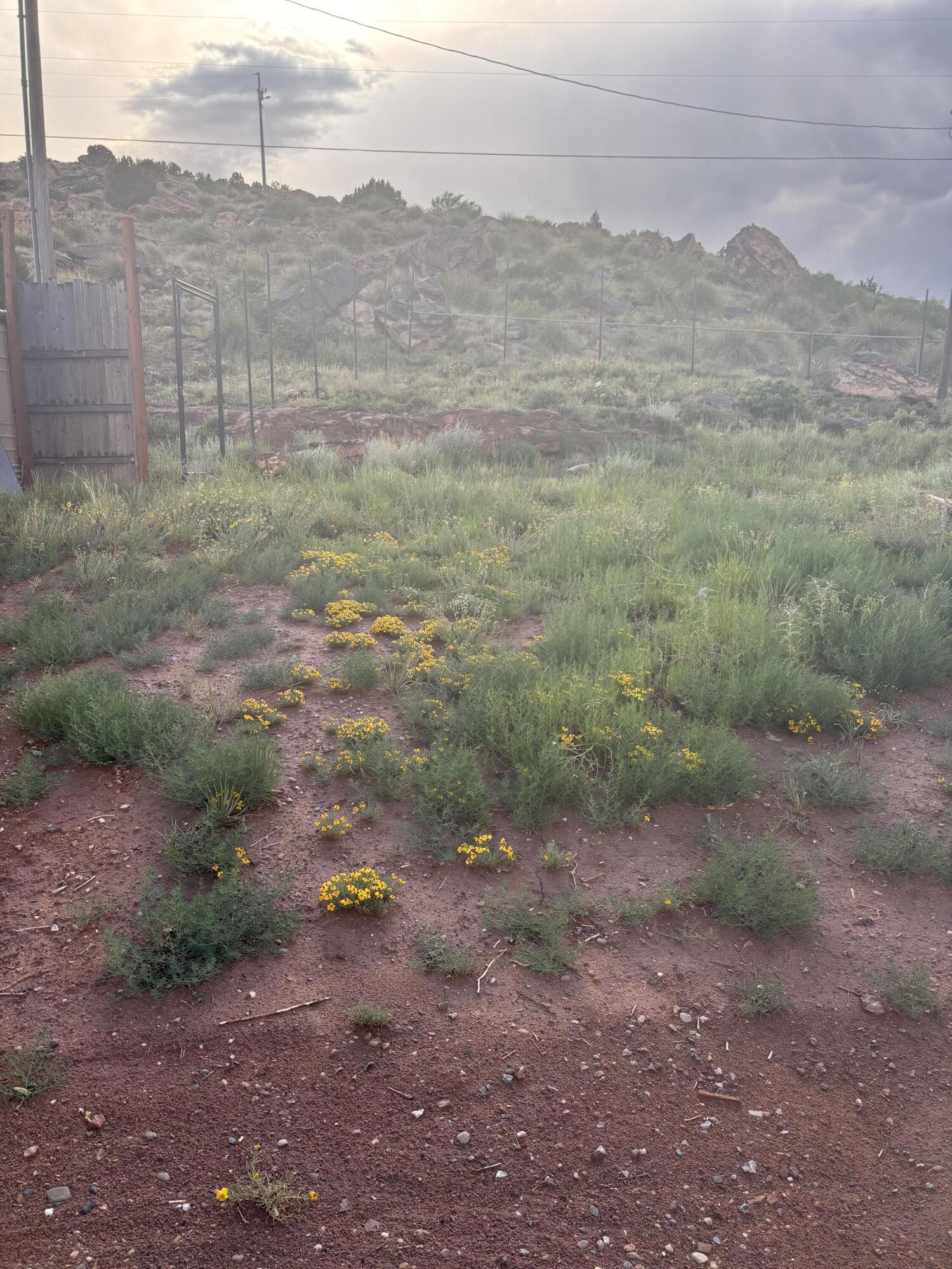 405 & 407 Bullhead Drive, Conchas Dam, New Mexico image 38