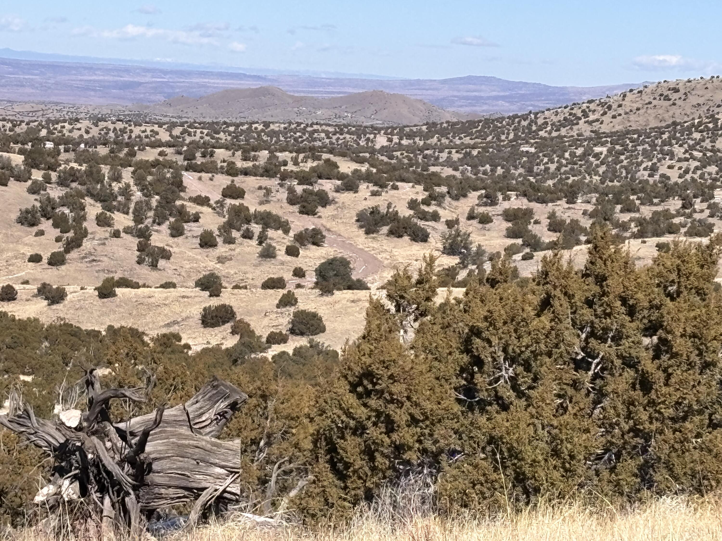 48 Pinon Springs, Magdalena, New Mexico image 6