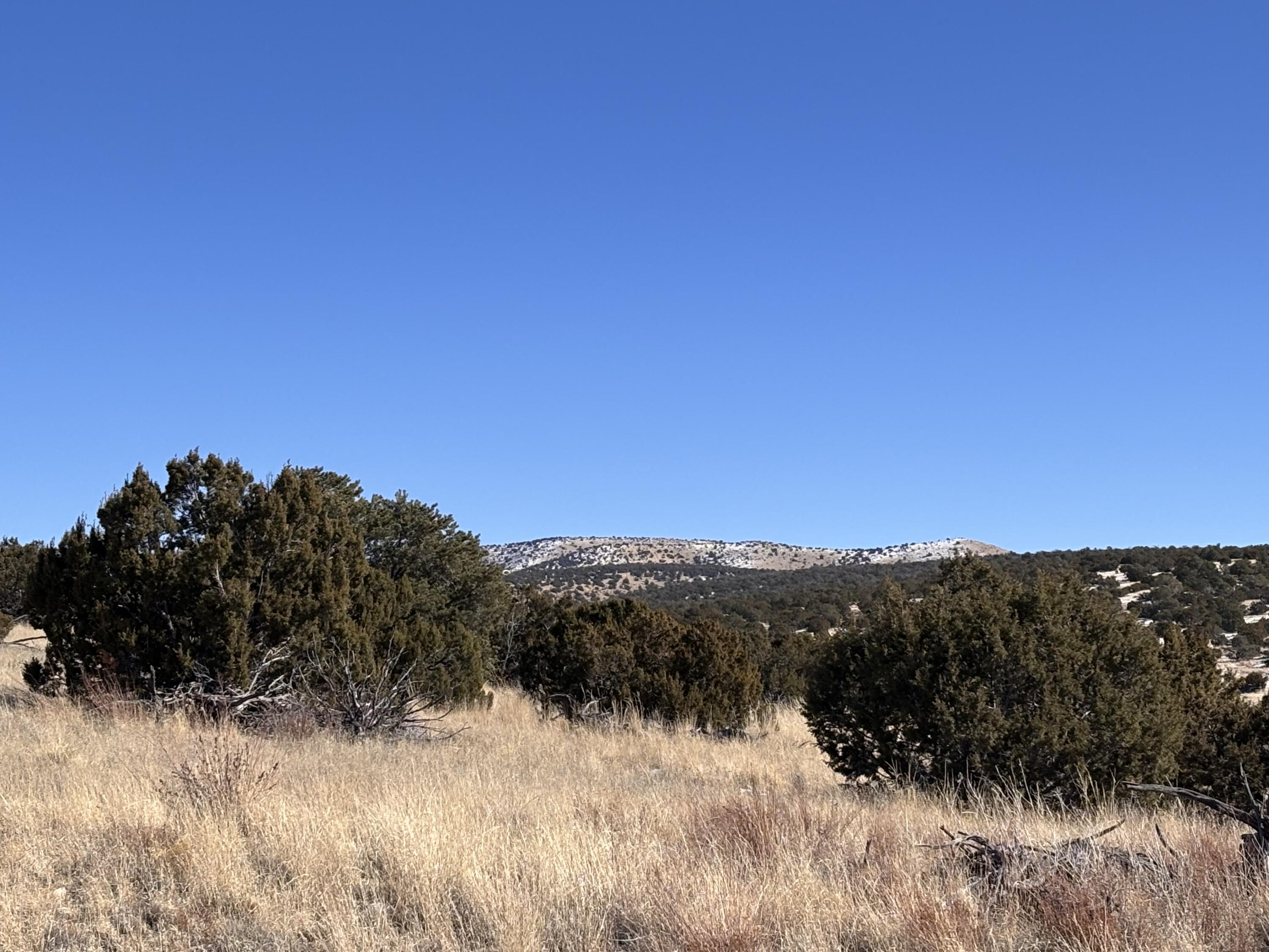 48 Pinon Springs, Magdalena, New Mexico image 5