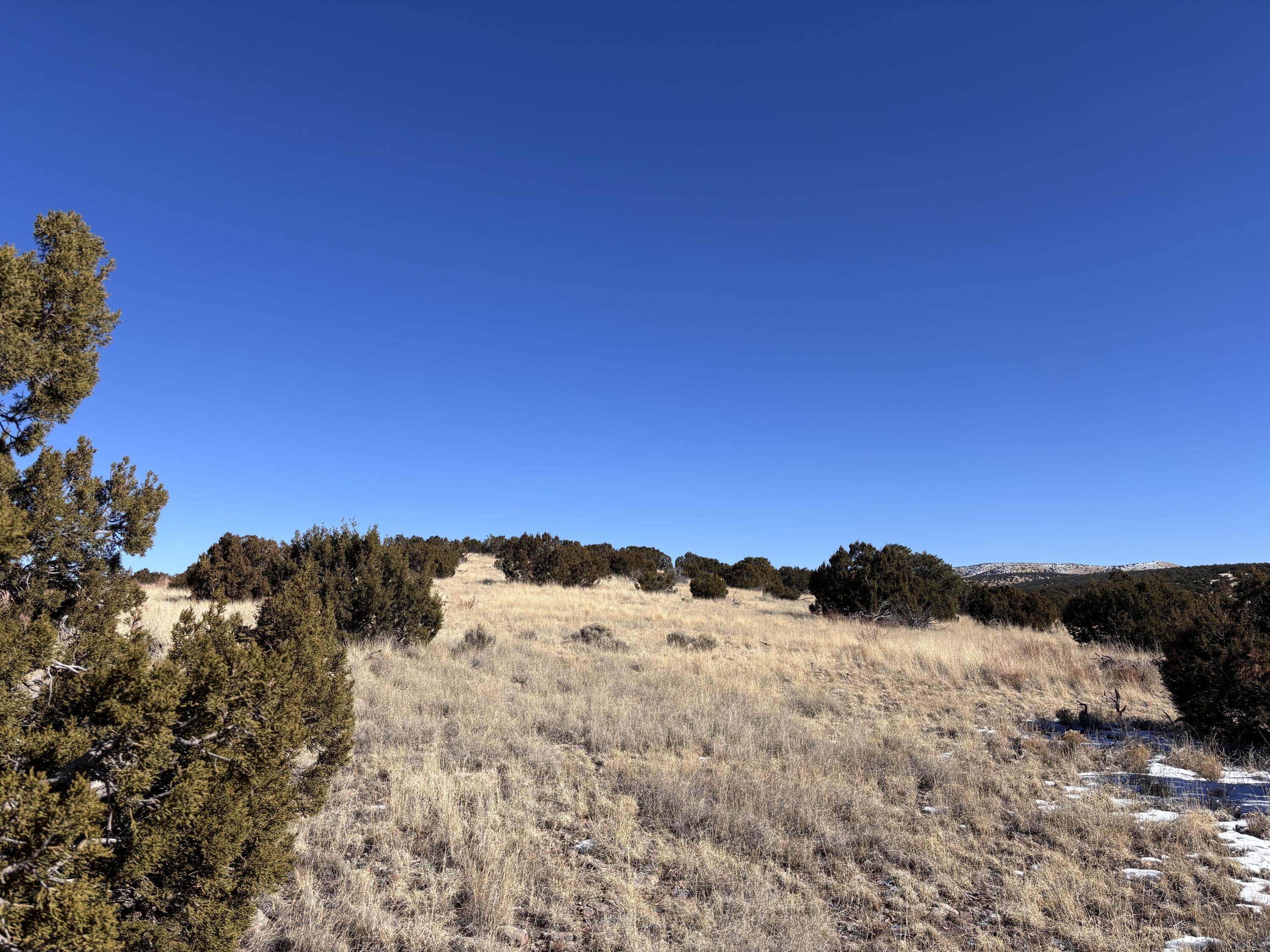 48 Pinon Springs, Magdalena, New Mexico image 3