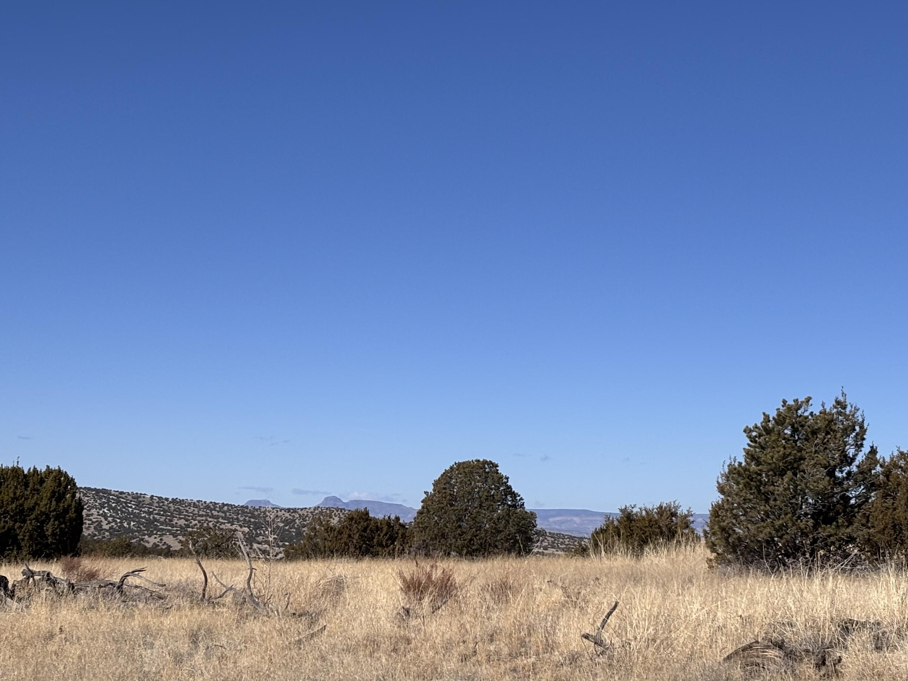 48 Pinon Springs, Magdalena, New Mexico image 7