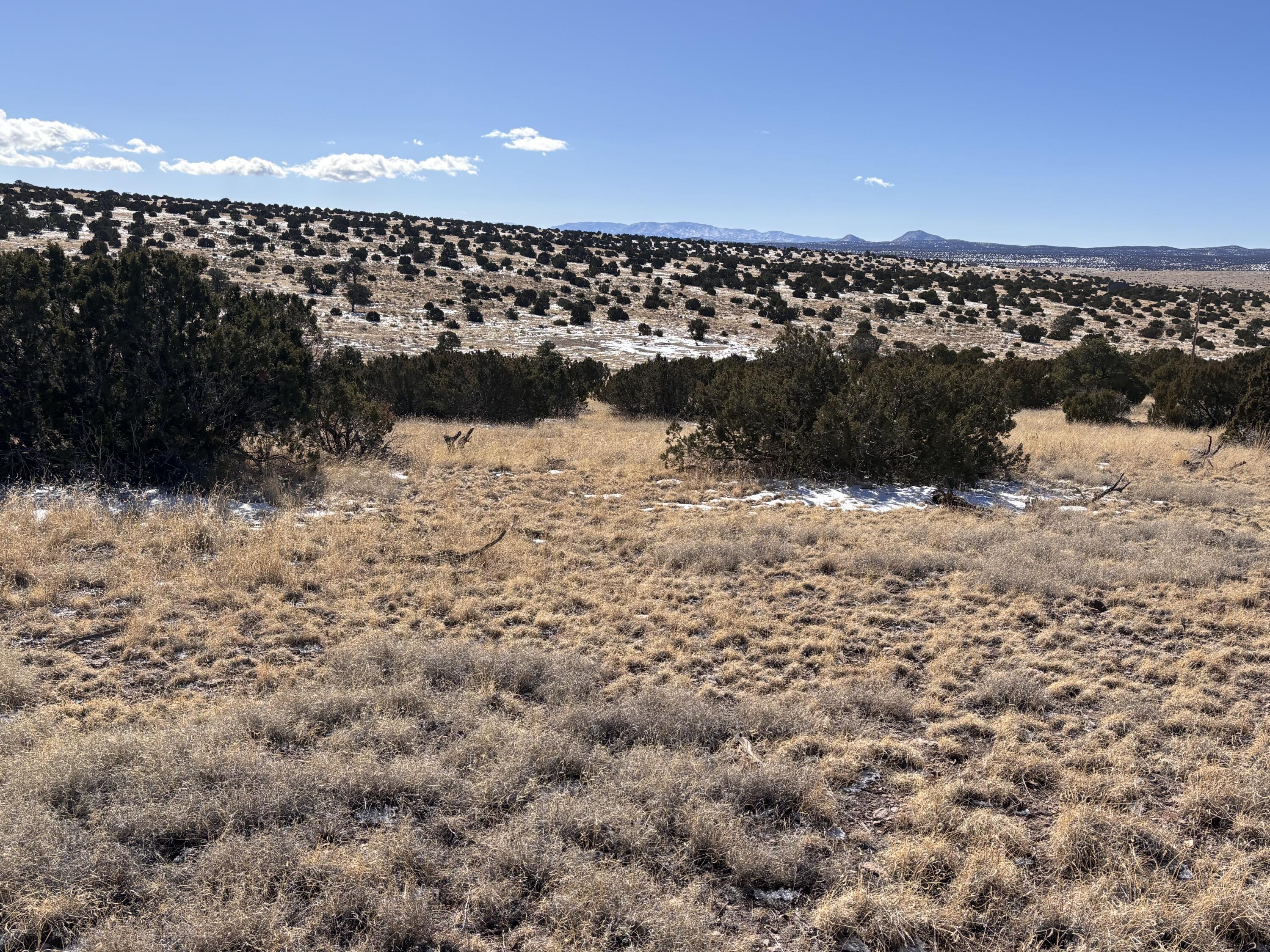 48 Pinon Springs, Magdalena, New Mexico image 9