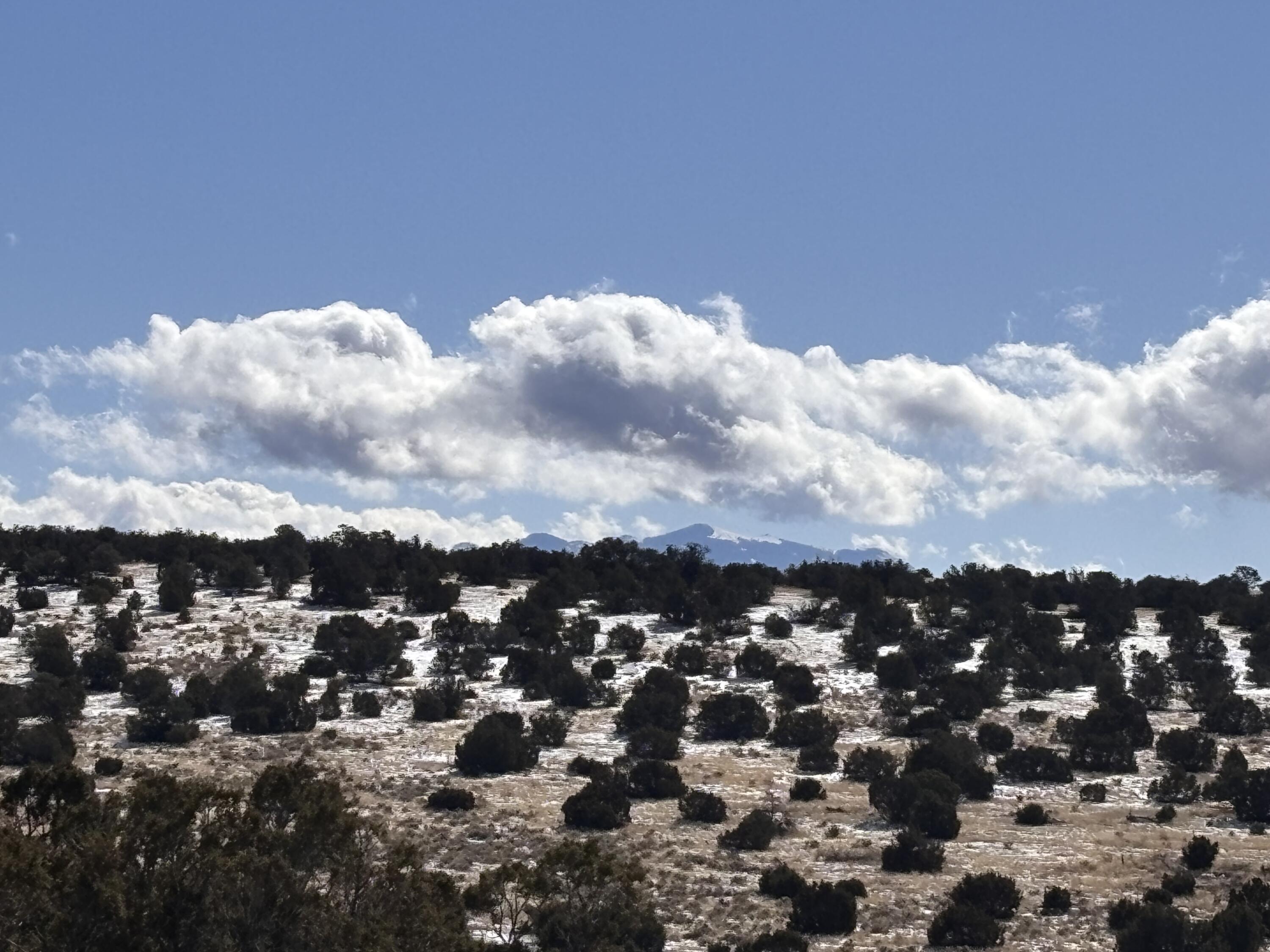 48 Pinon Springs, Magdalena, New Mexico image 4