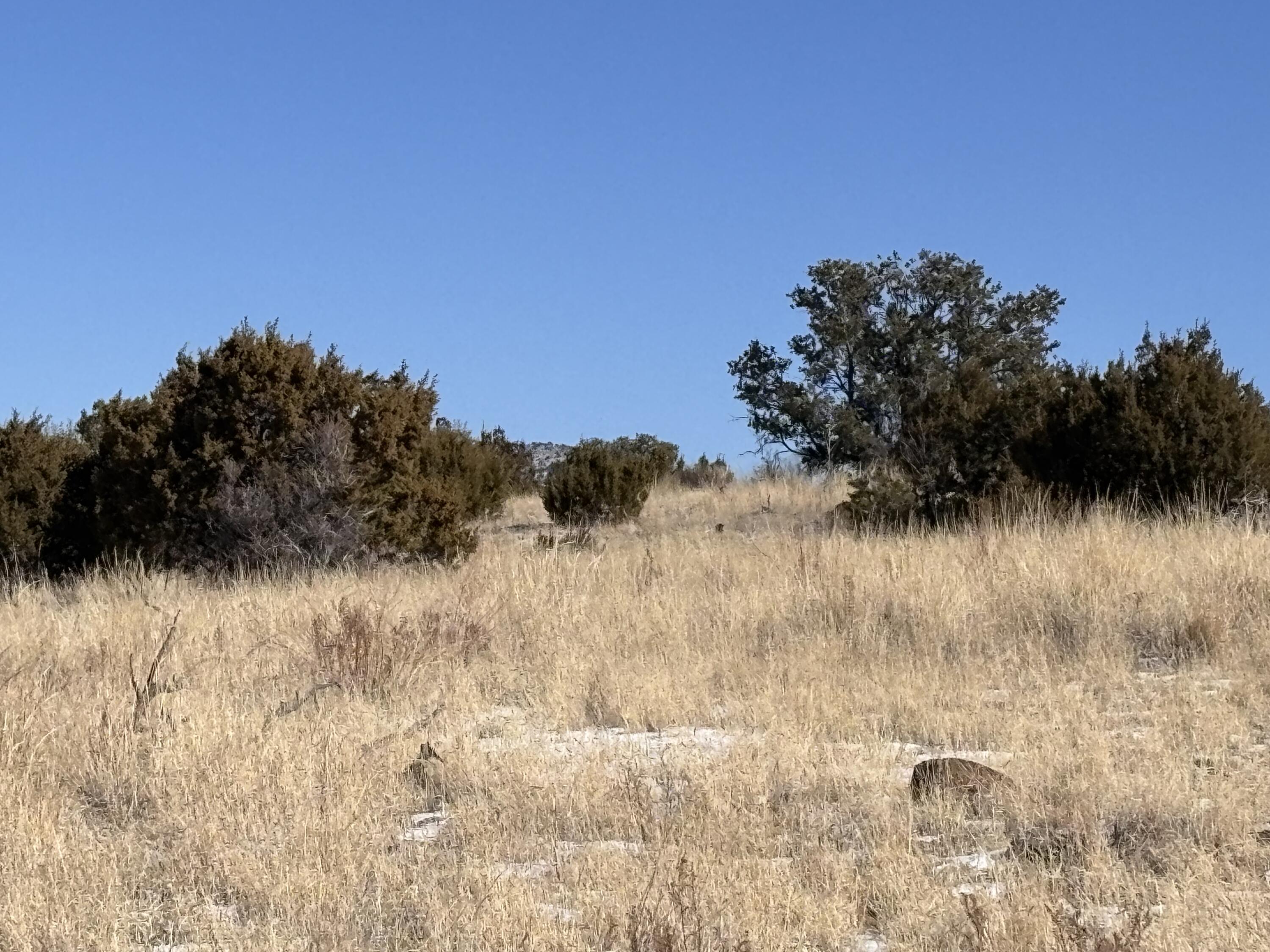 48 Pinon Springs, Magdalena, New Mexico image 15