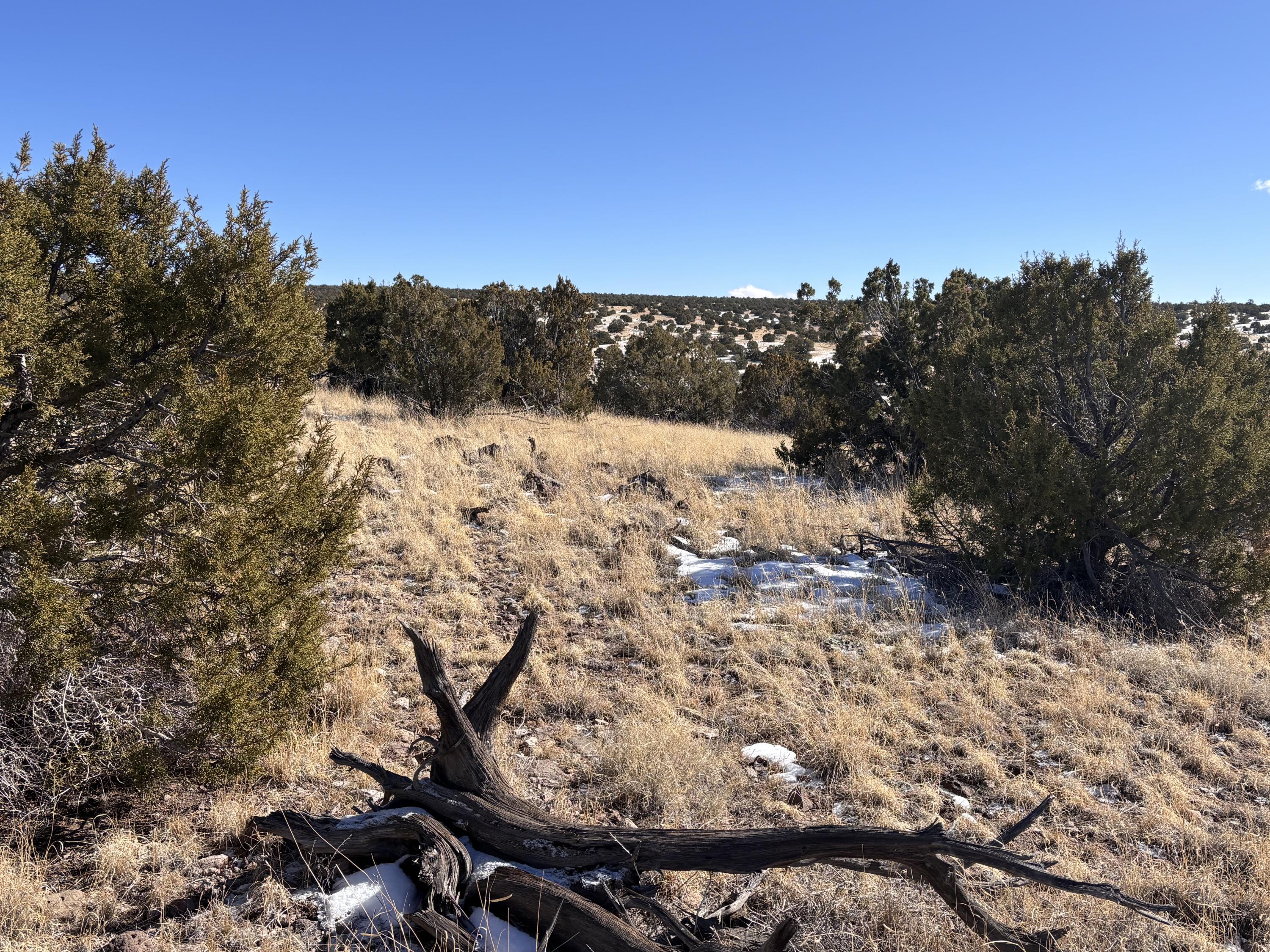 48 Pinon Springs, Magdalena, New Mexico image 16