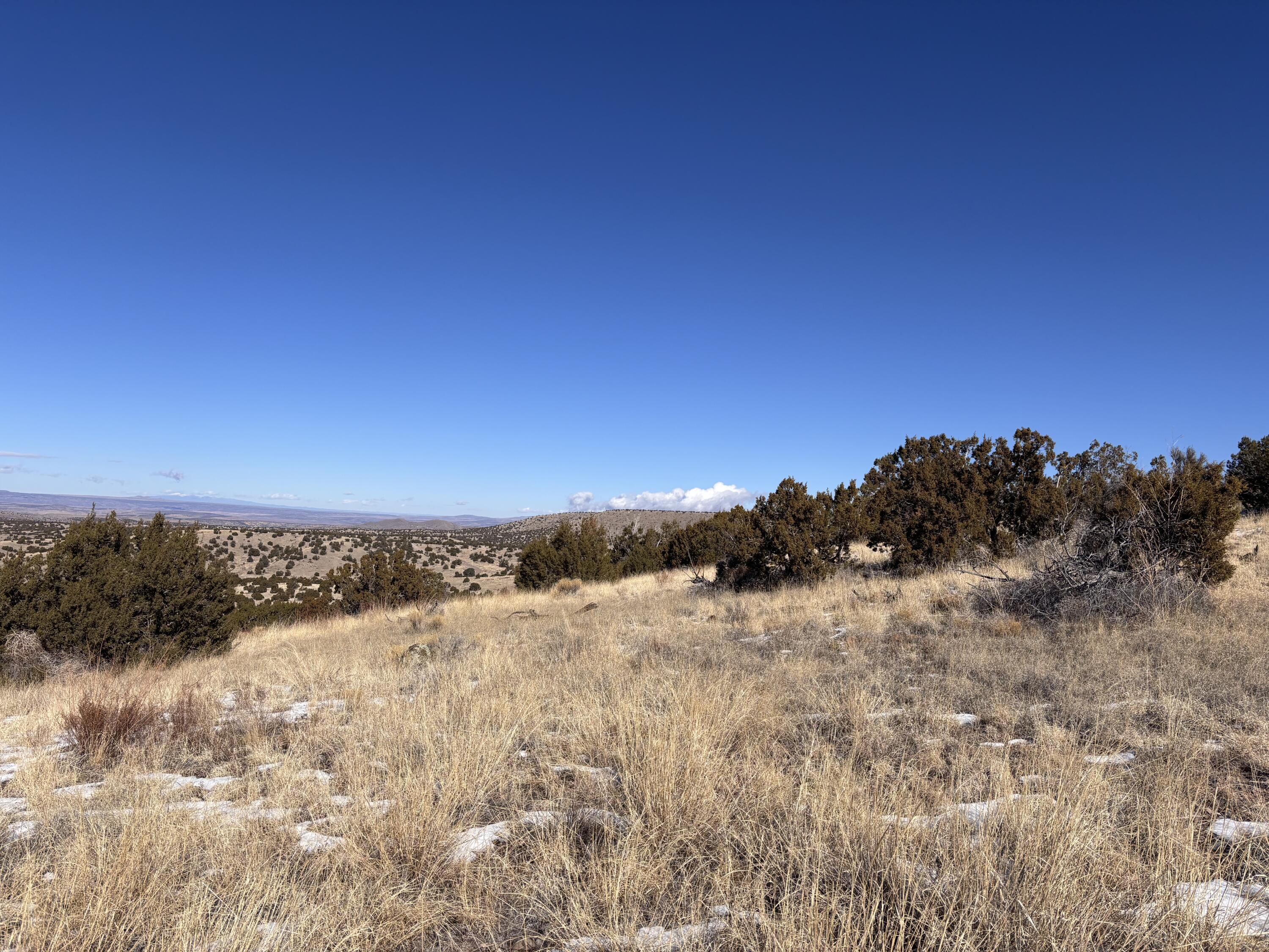 48 Pinon Springs, Magdalena, New Mexico image 12