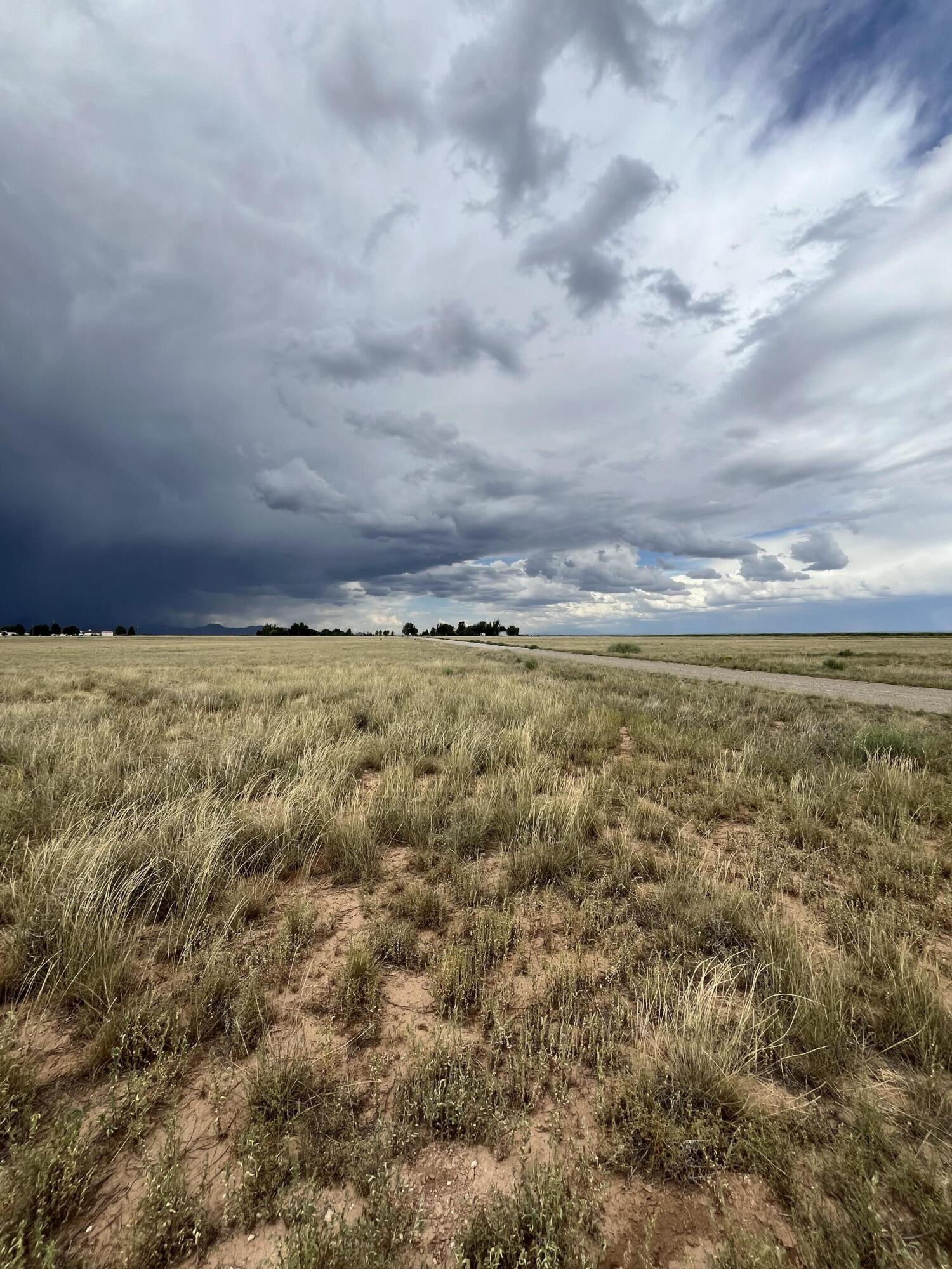 Snow Moon Estates Lane, Moriarty, New Mexico image 3