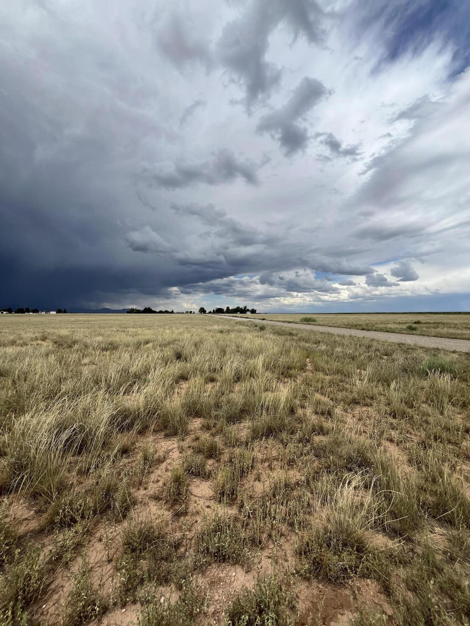 Snow Moon Estates Lane, Moriarty, New Mexico image 5