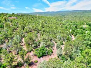 12141 Nm-14, Cedar Crest, New Mexico image 22