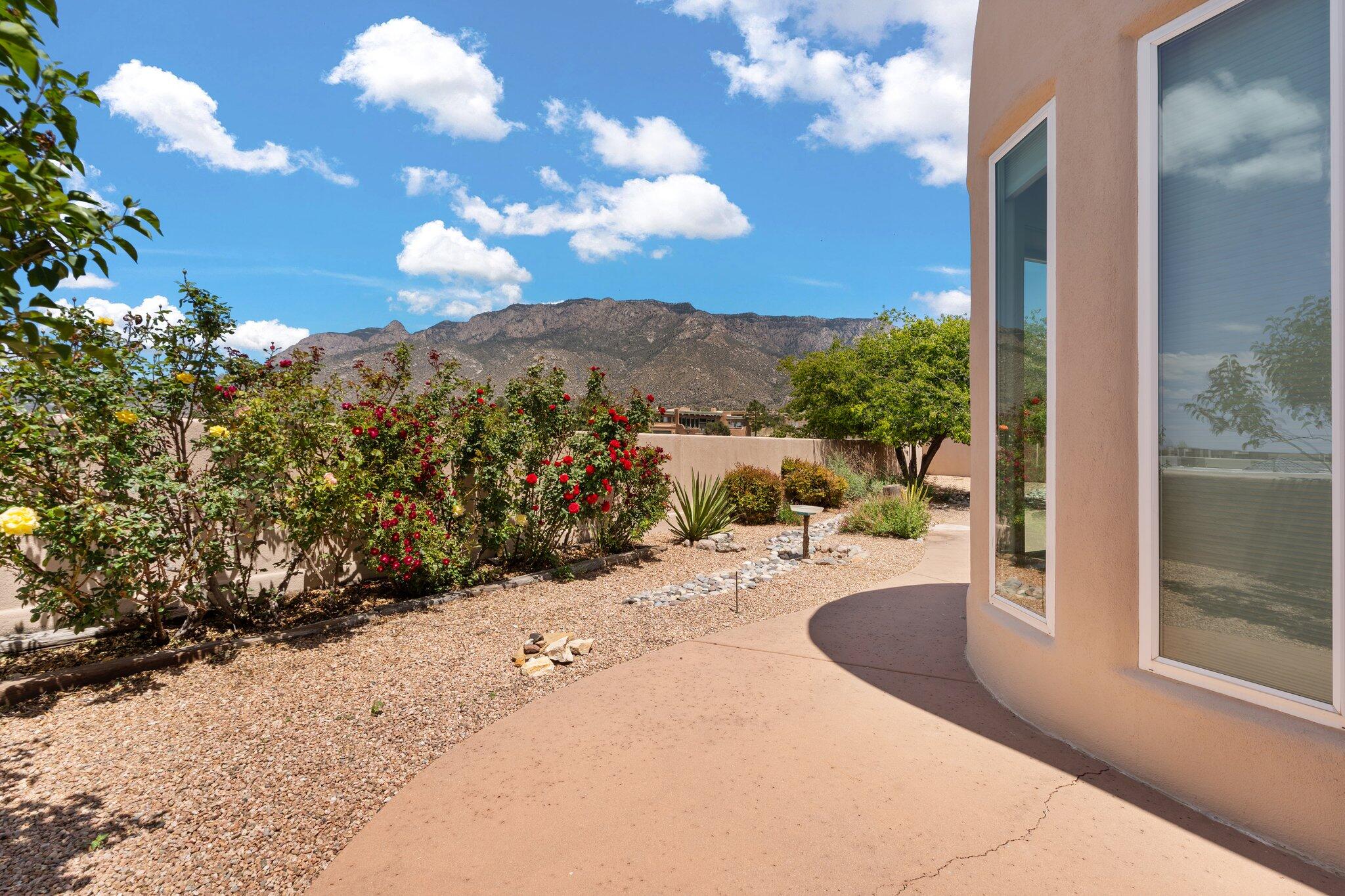 8226 Raintree Drive, Albuquerque, New Mexico image 16