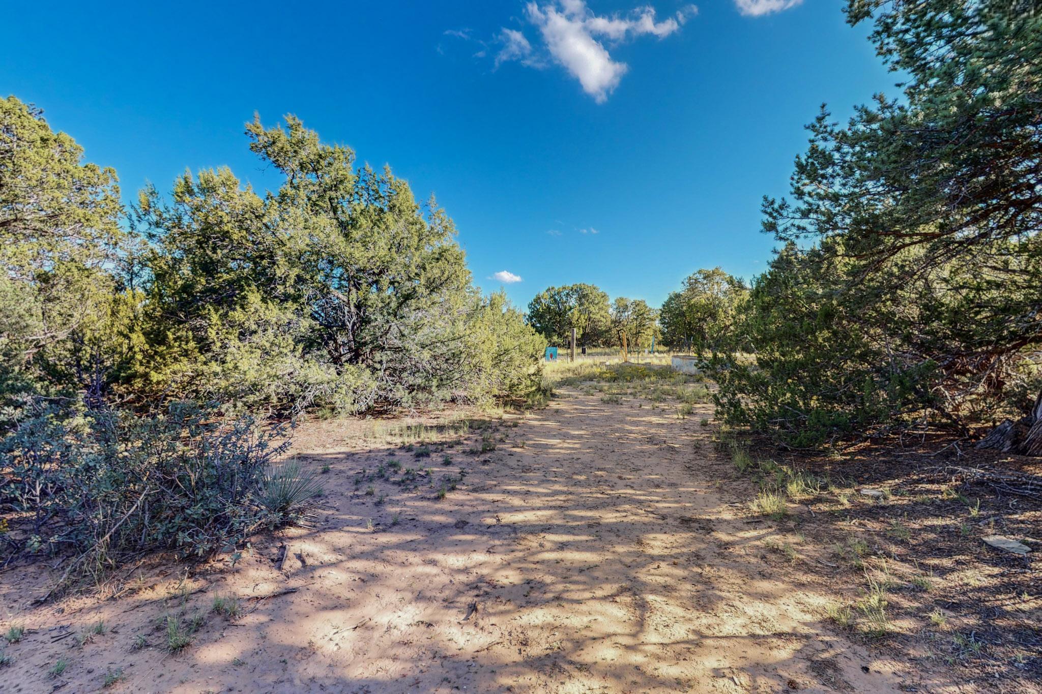 64 Saddle Spur Trail Trail, Edgewood, New Mexico image 14