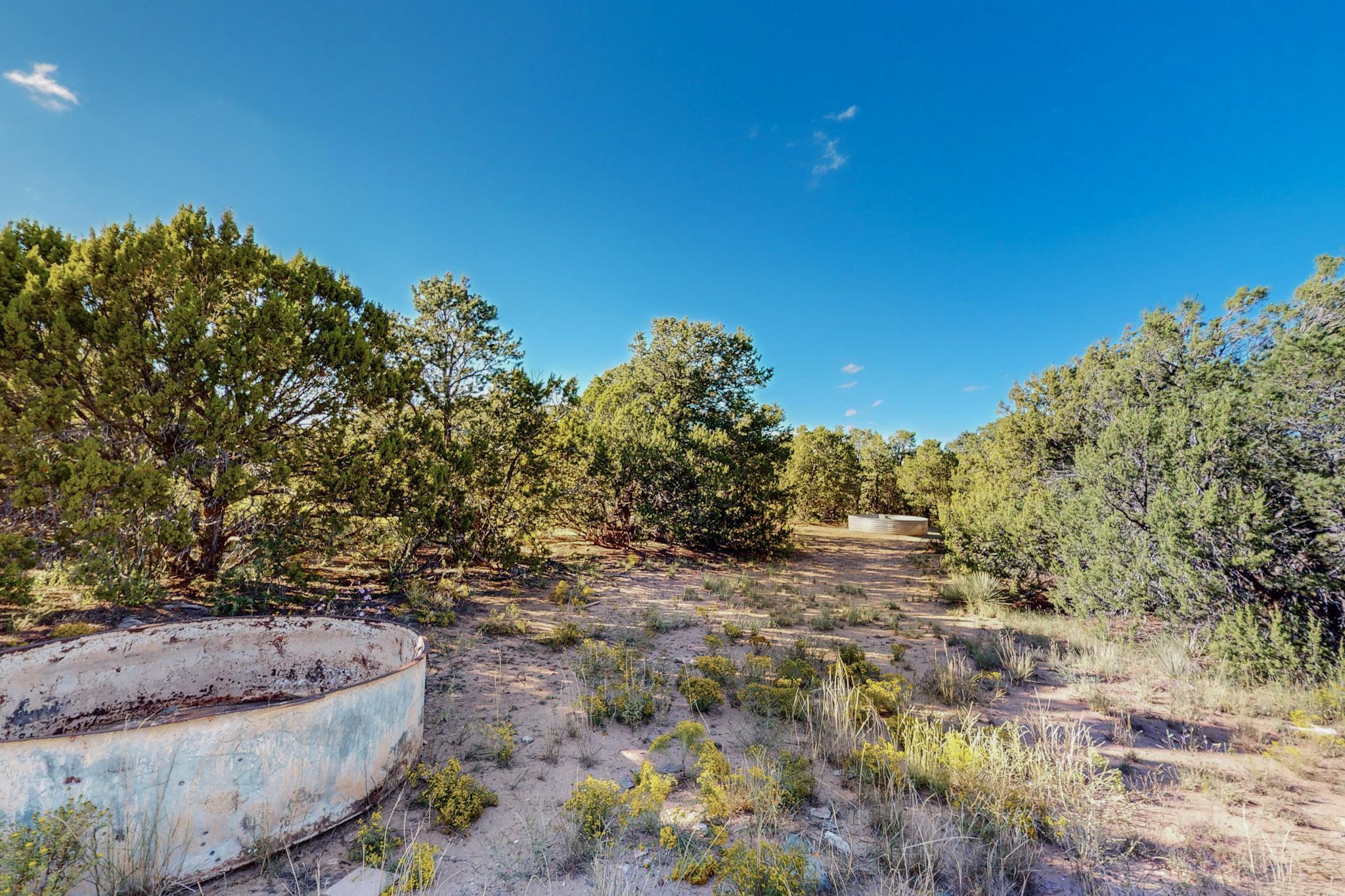 64 Saddle Spur Trail Trail, Edgewood, New Mexico image 15