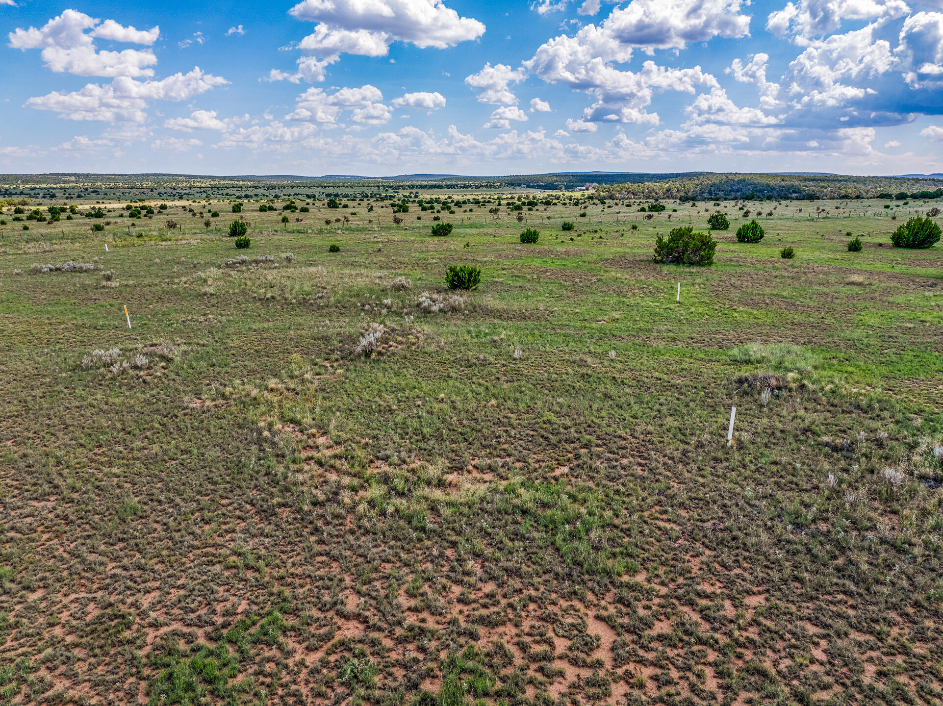 100 Riverview Rd, Edgewood, New Mexico image 7