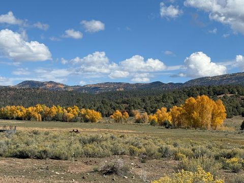 16853 US-84 Chama NM 87520