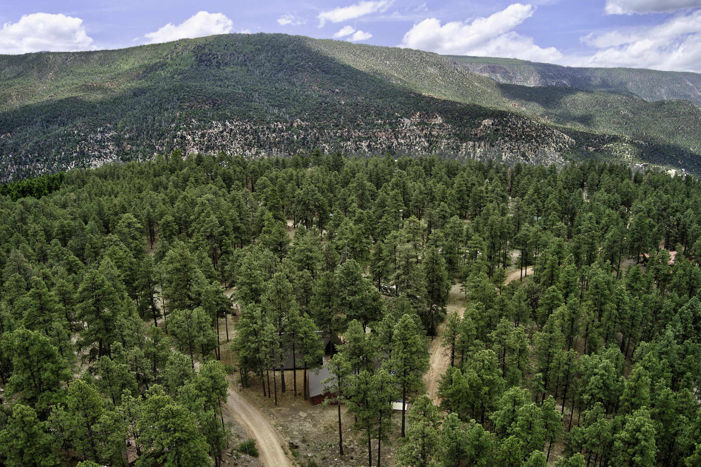 186 Cedar Road, Jemez Springs, New Mexico image 35