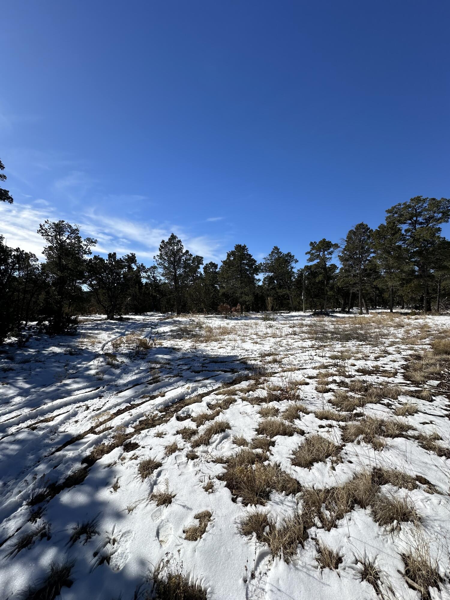 18 High Noon Dr, Edgewood, New Mexico image 1