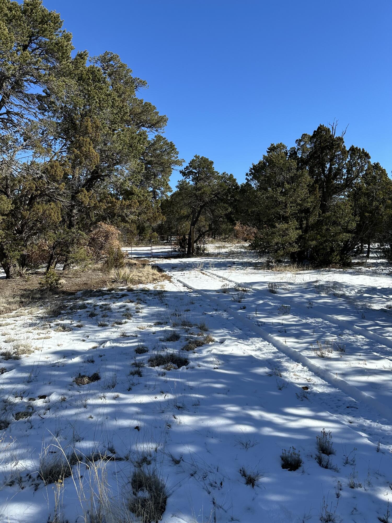 18 High Noon Dr, Edgewood, New Mexico image 2