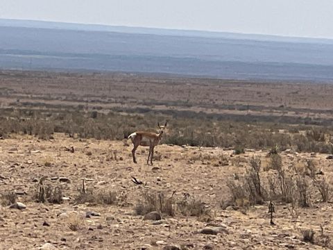 Vacant Land For Sale - Rolling Hills Lot 47<br/> Socorro County, San Antonio, NM 87801