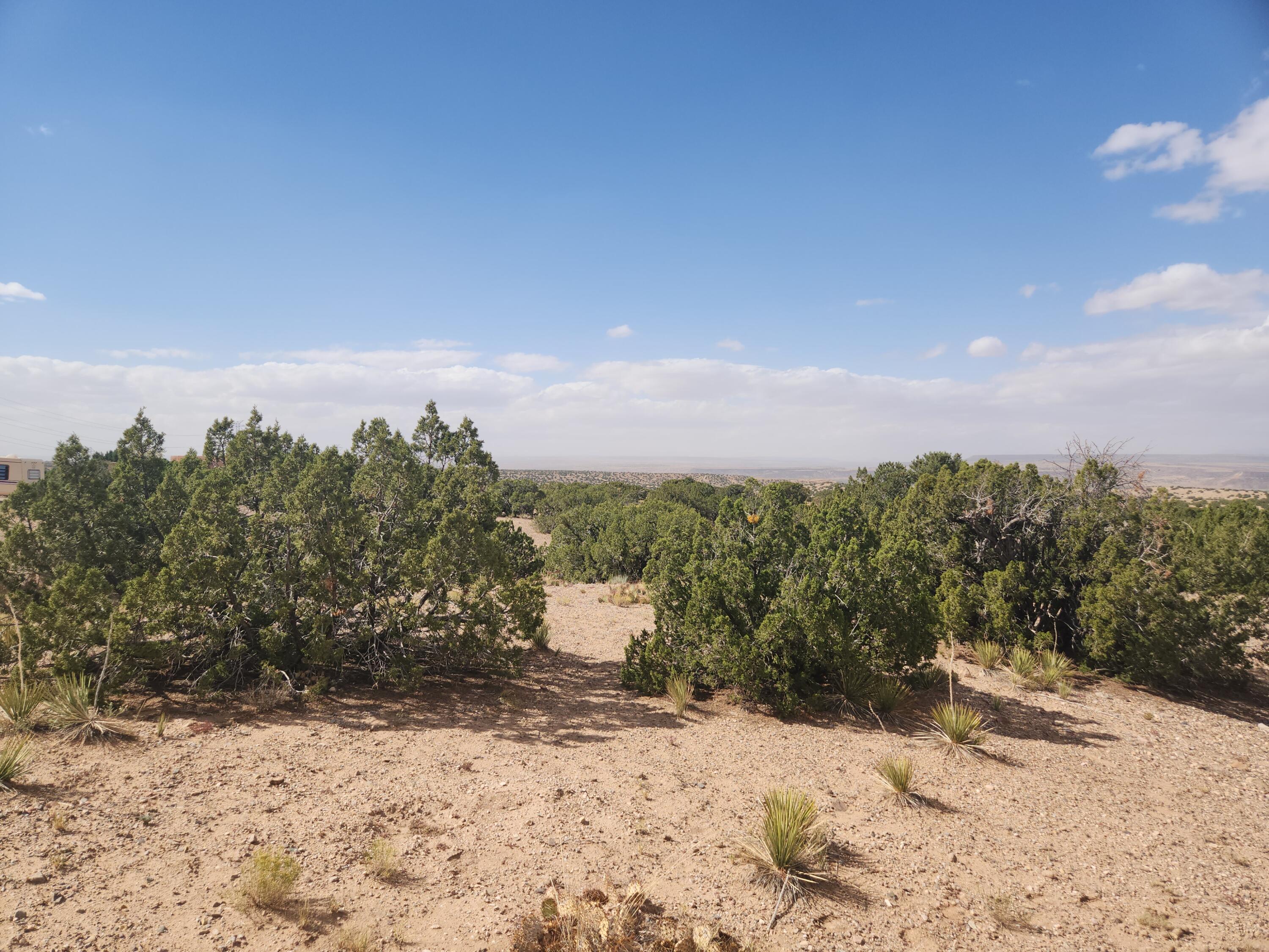 Palomar Road - Lot 22, Placitas, New Mexico image 17