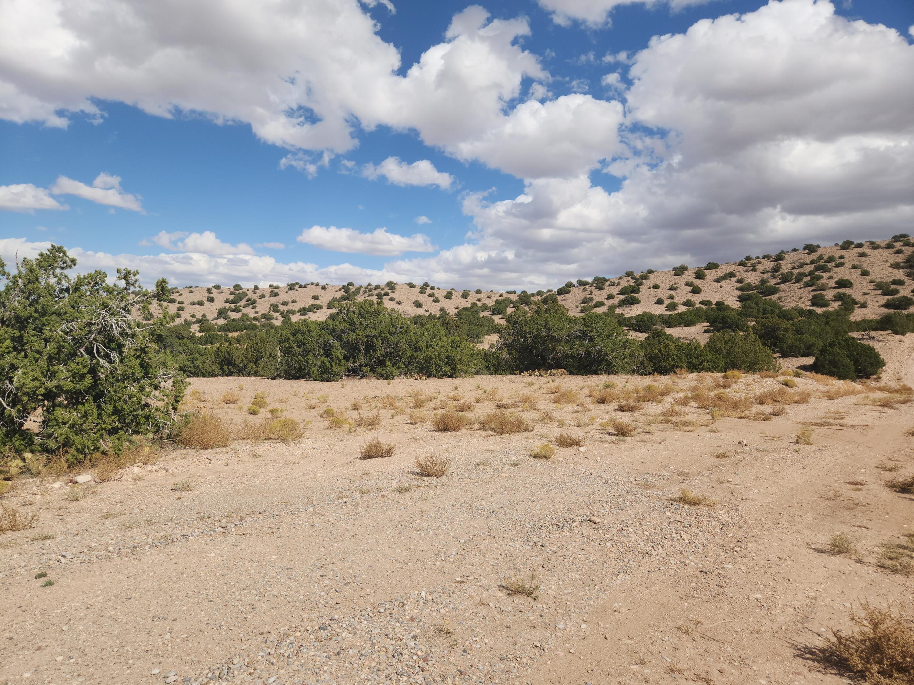 Palomar Road - Lot 22, Placitas, New Mexico image 14