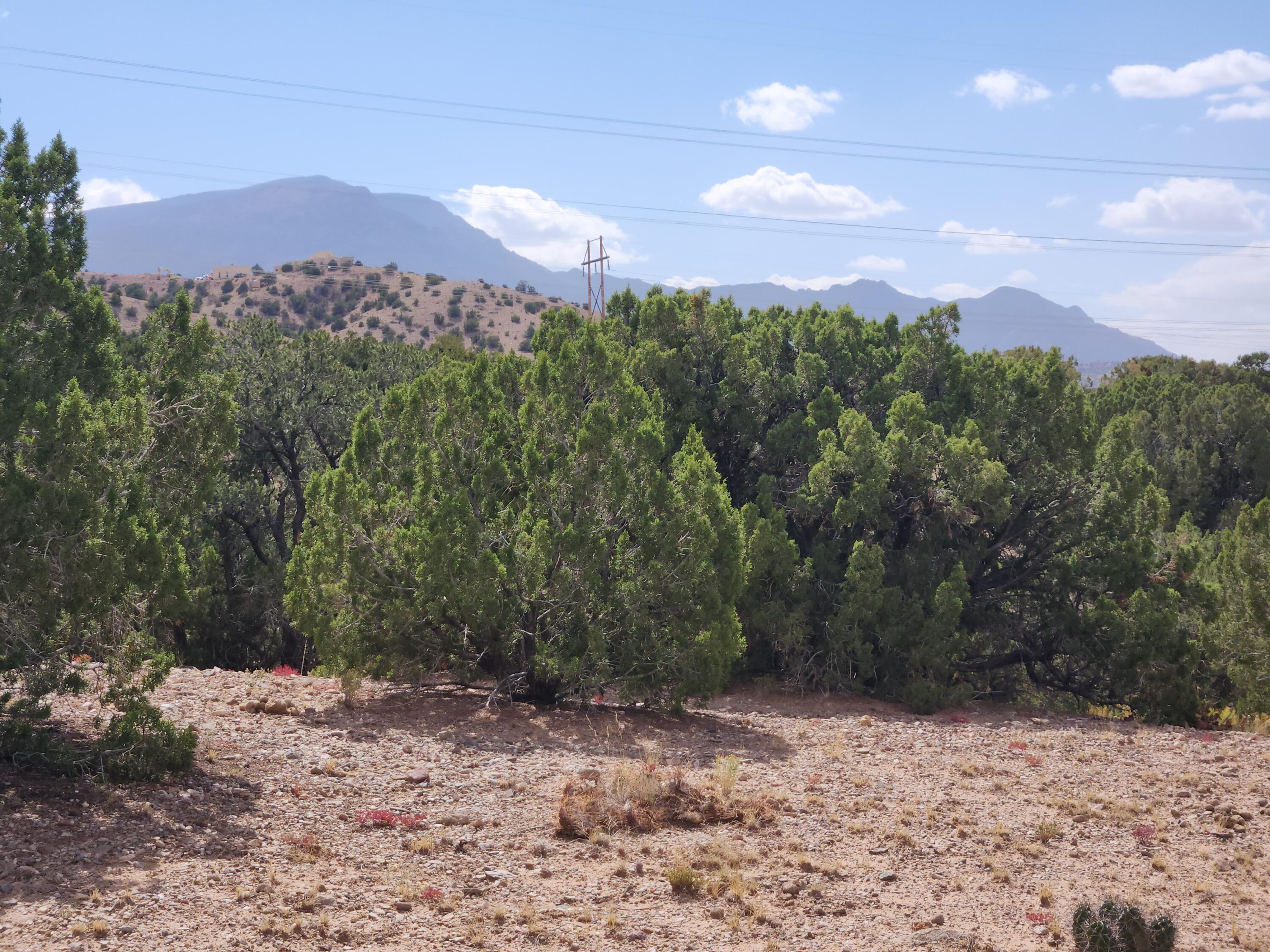 Palomar Road - Lot 22, Placitas, New Mexico image 9