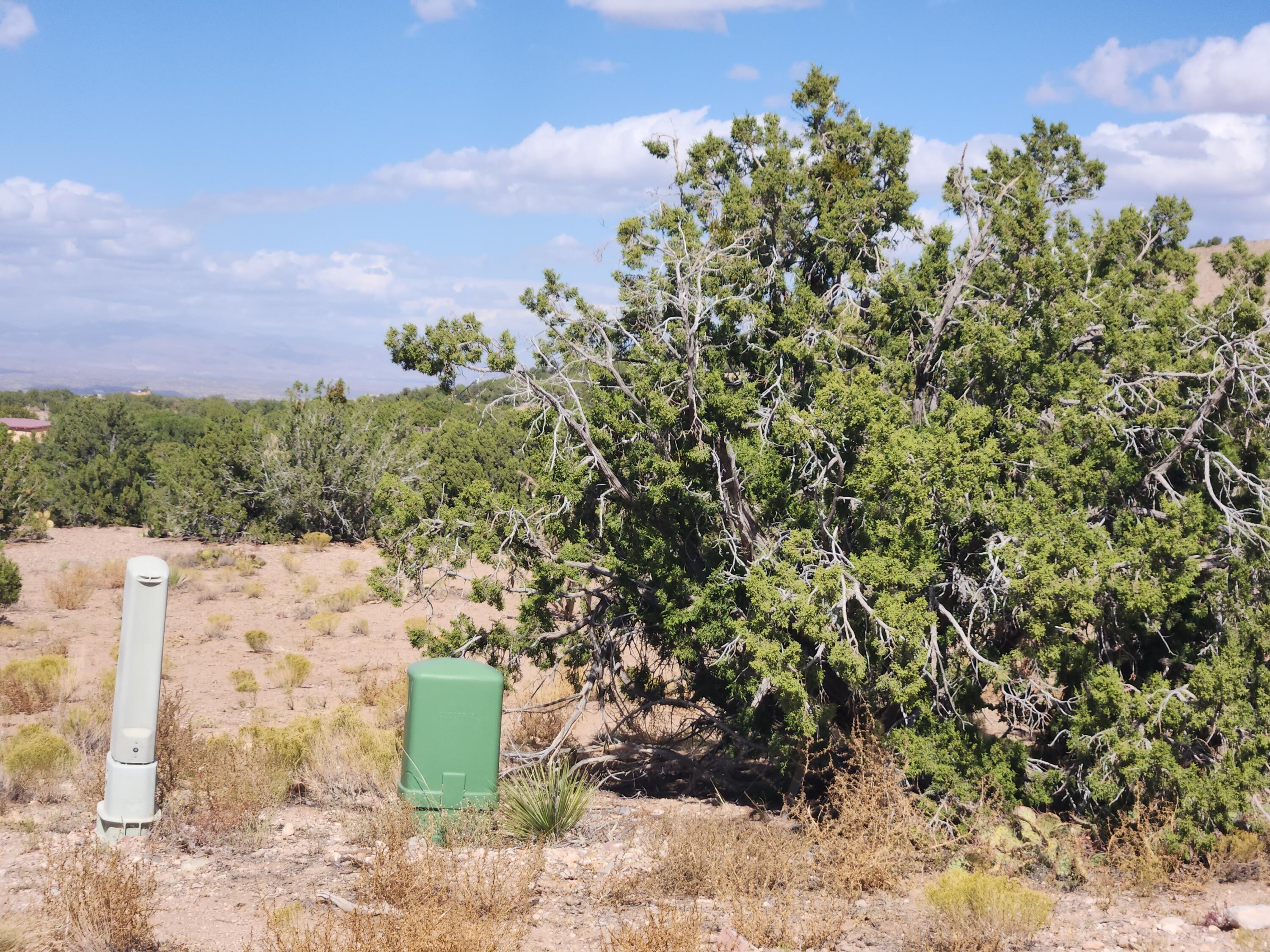 Palomar Road - Lot 22, Placitas, New Mexico image 24