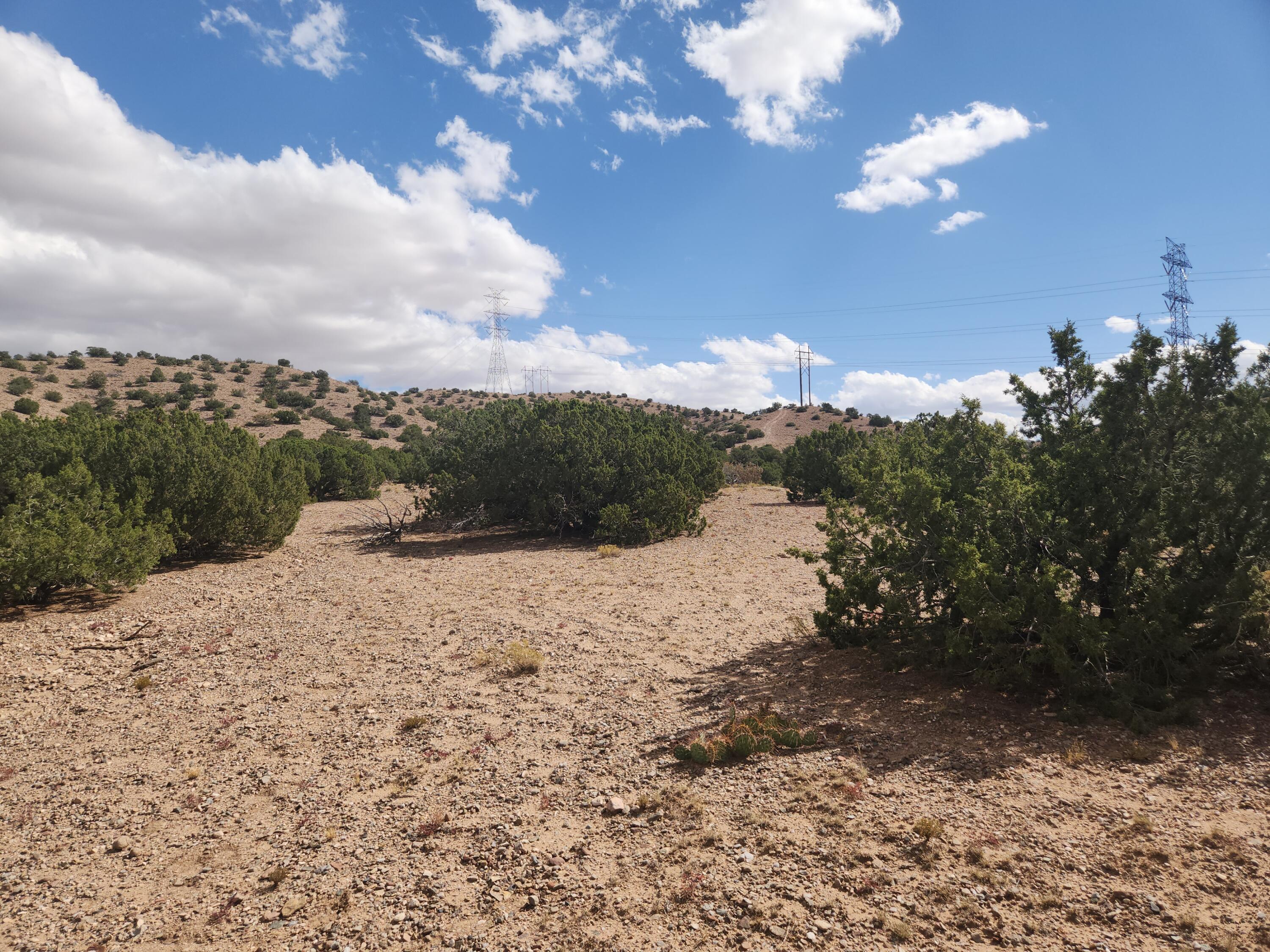 Palomar Road - Lot 22, Placitas, New Mexico image 7