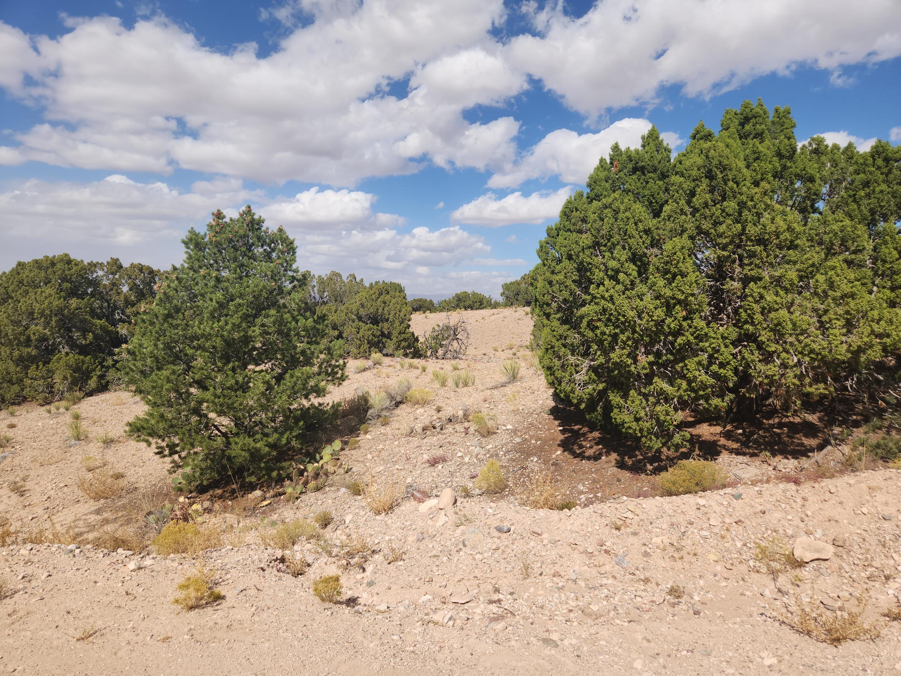 Palomar Road - Lot 22, Placitas, New Mexico image 23