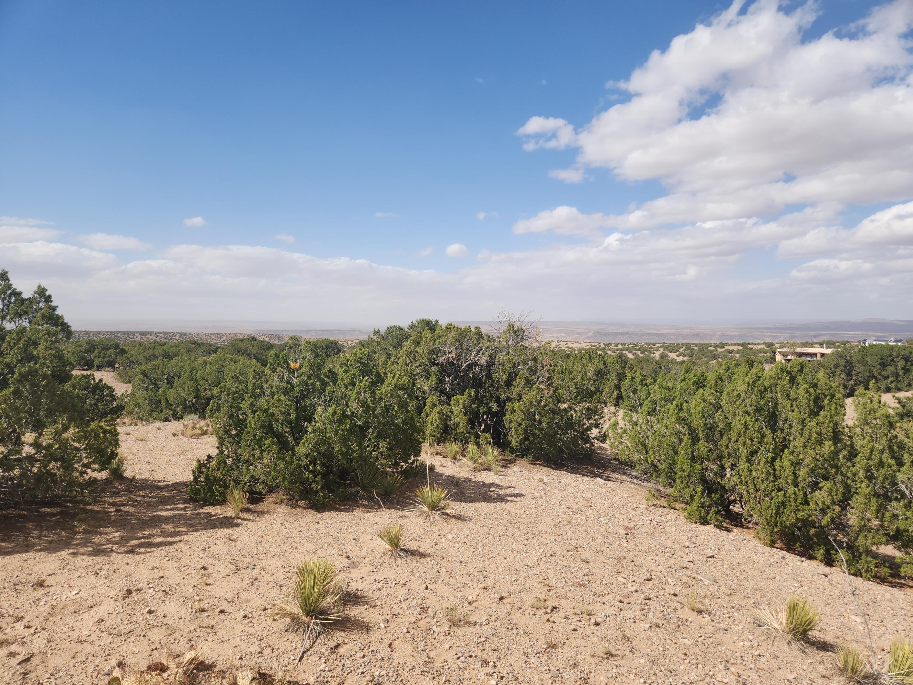 Palomar Road - Lot 22, Placitas, New Mexico image 8