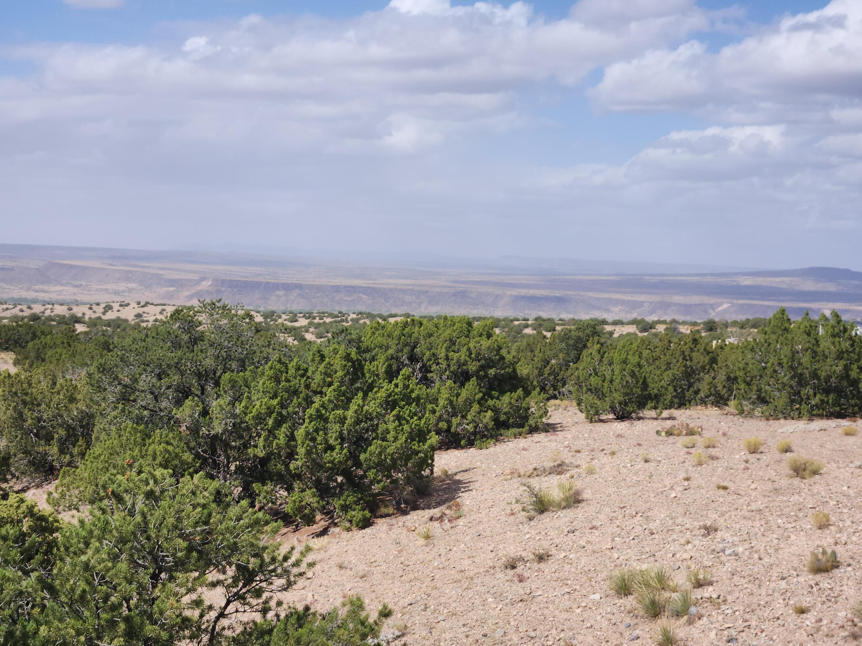 Palomar Road - Lot 22, Placitas, New Mexico image 5